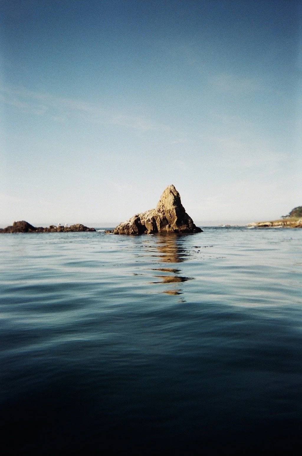 50580017.jpg