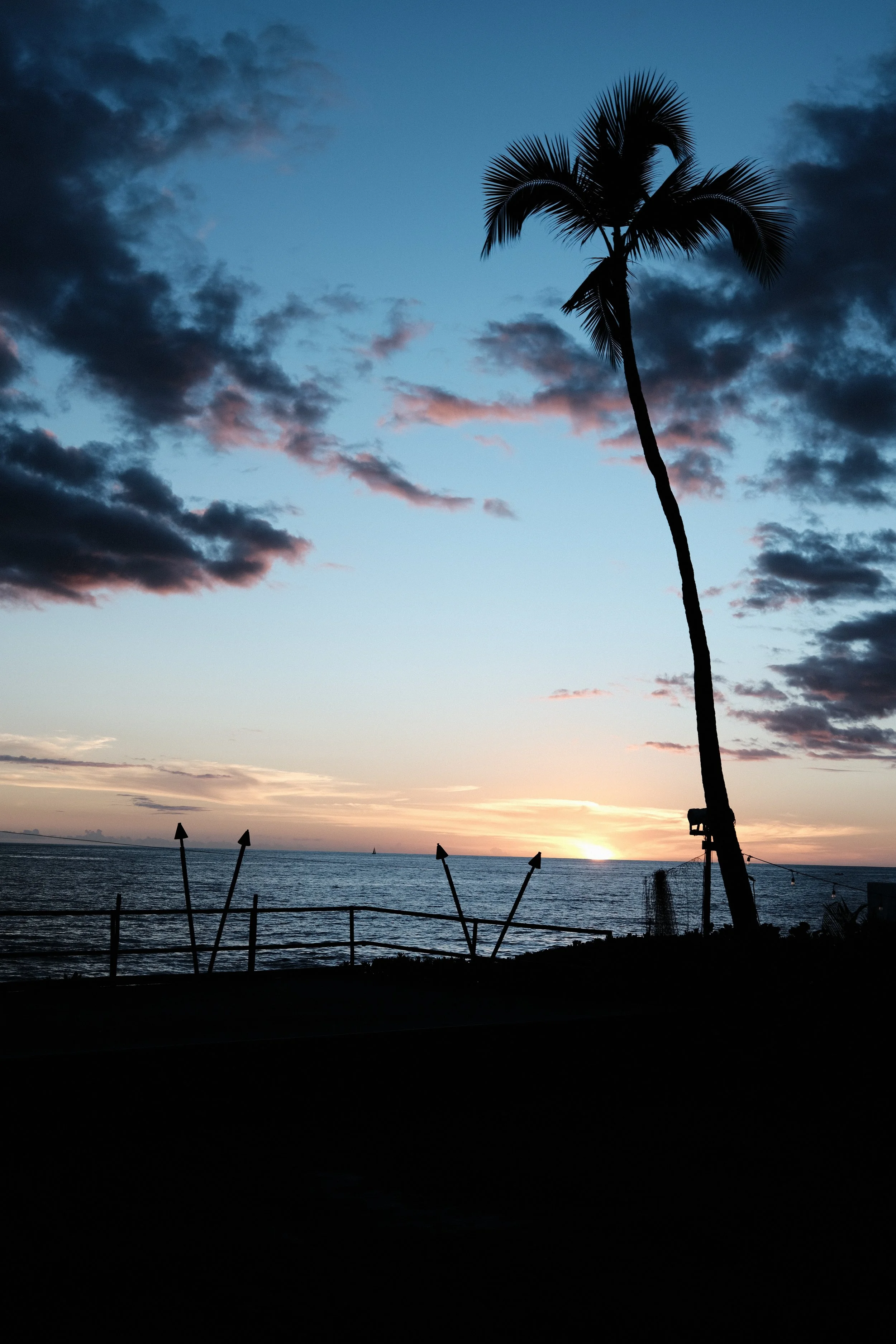 DSCF2308.JPG