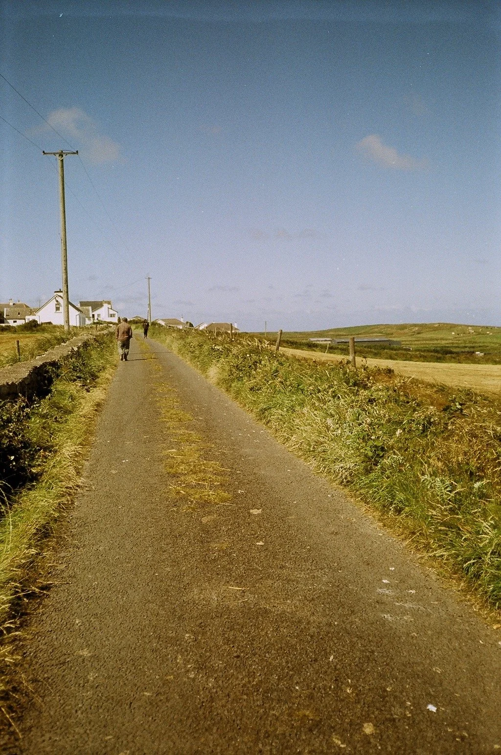 55590033.jpg