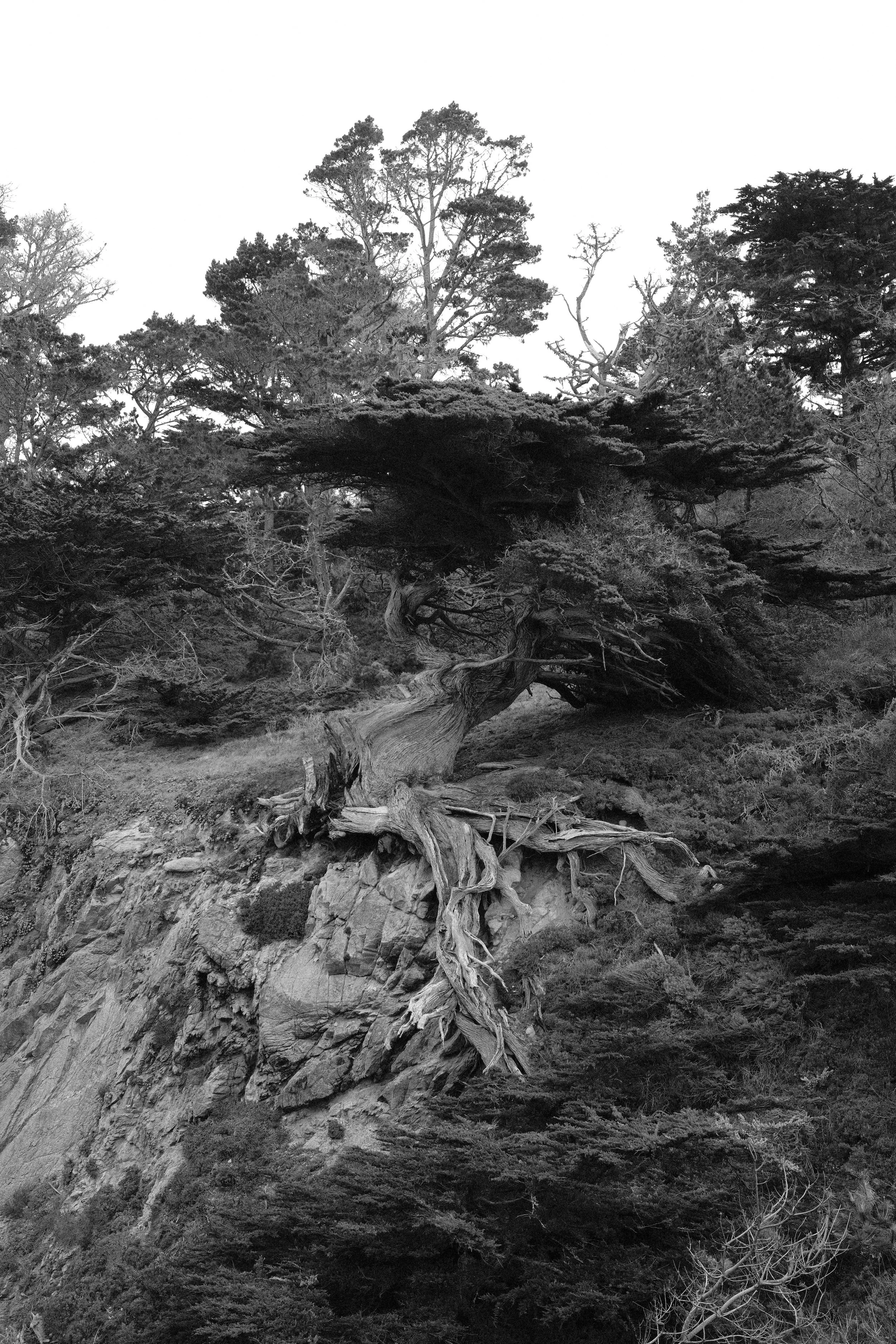 DSCF8800.JPG