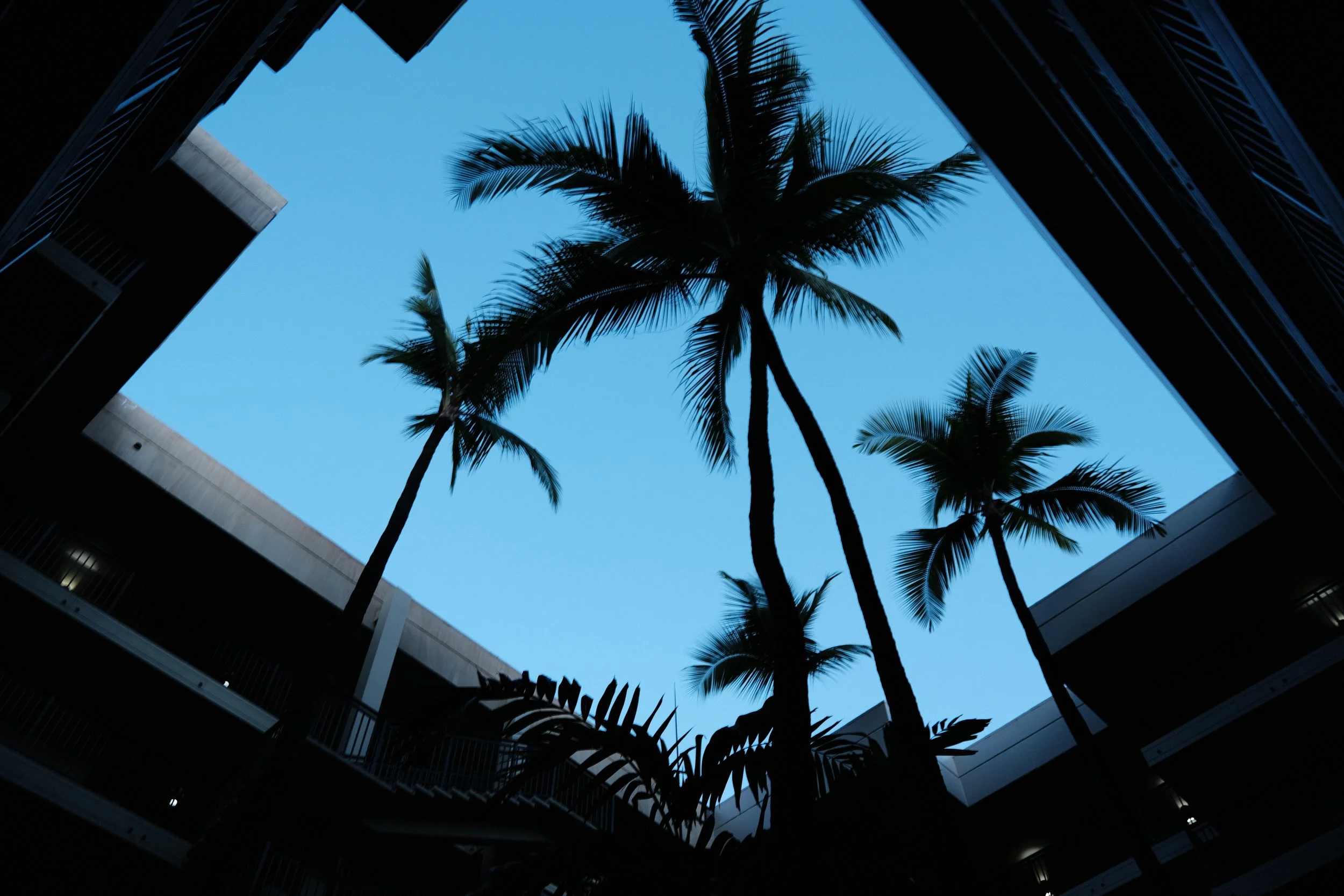 DSCF2315.JPG