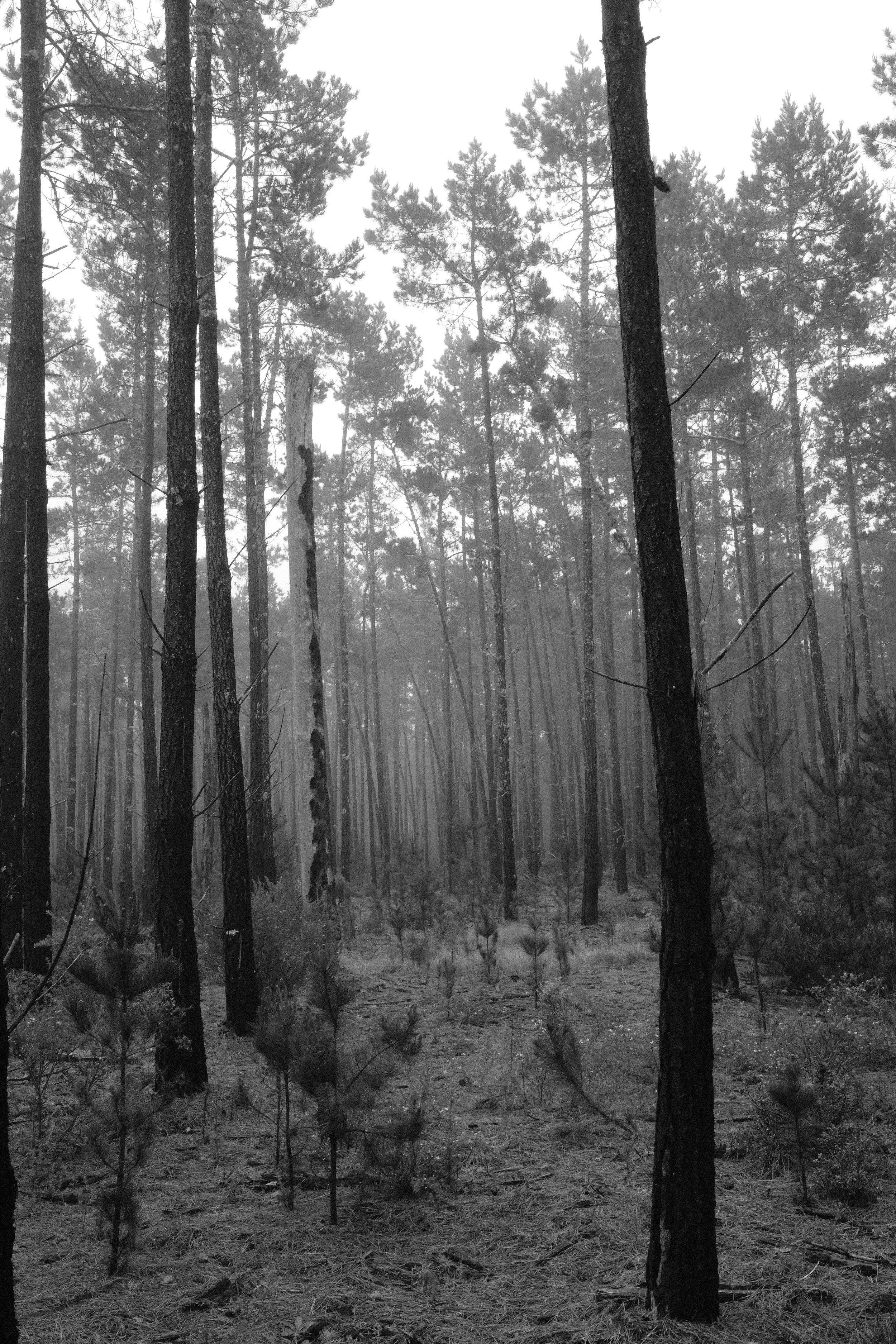 DSCF9060.JPG