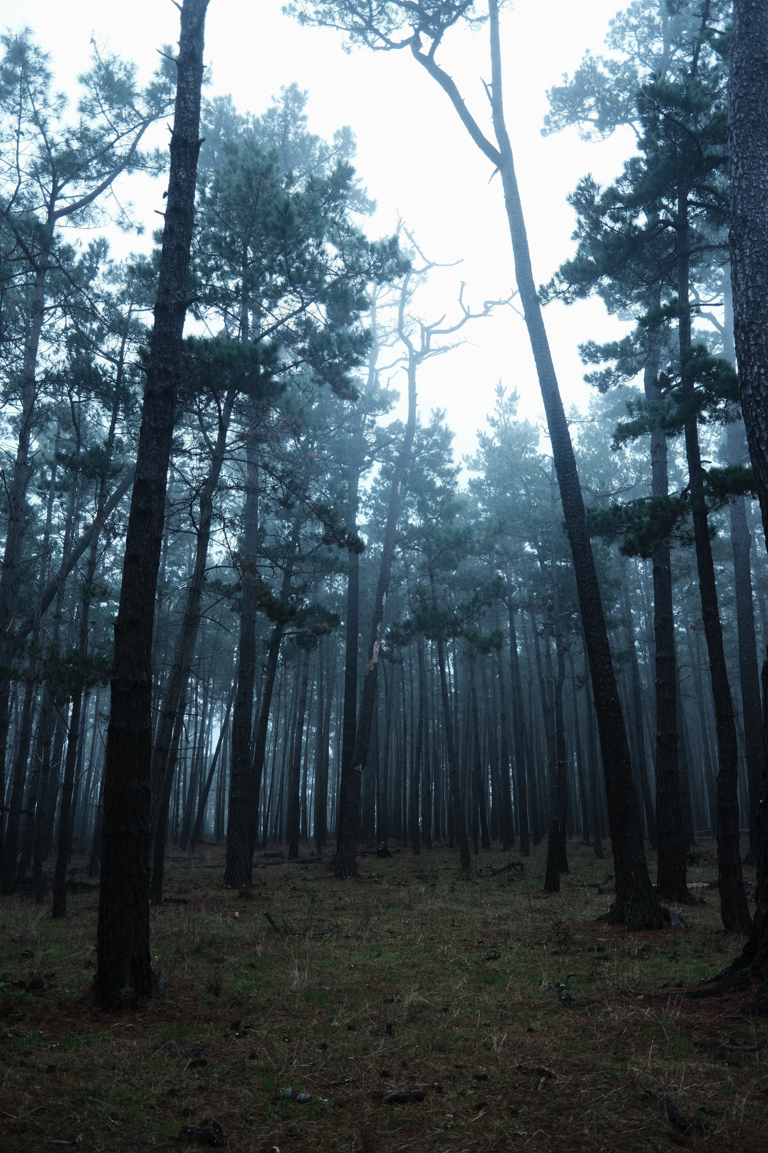 DSCF2356.JPG