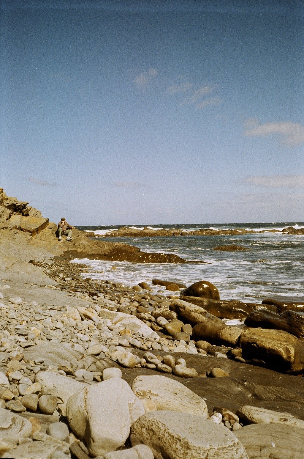 55590034.jpg