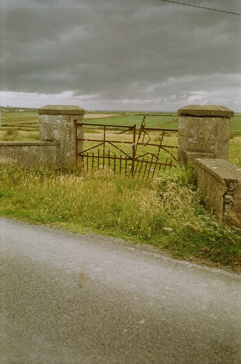 55590025.jpg