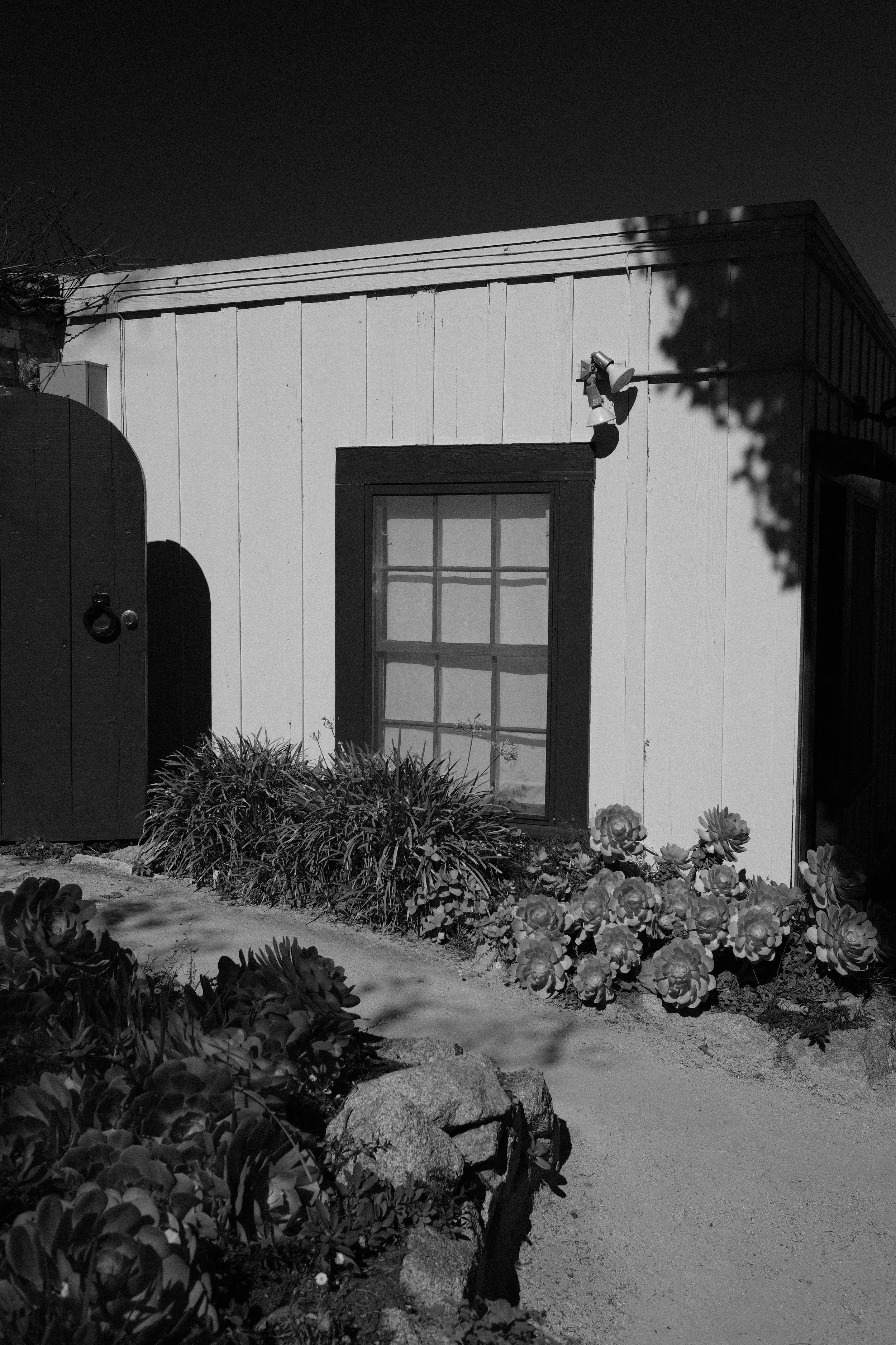 DSCF8792.JPG