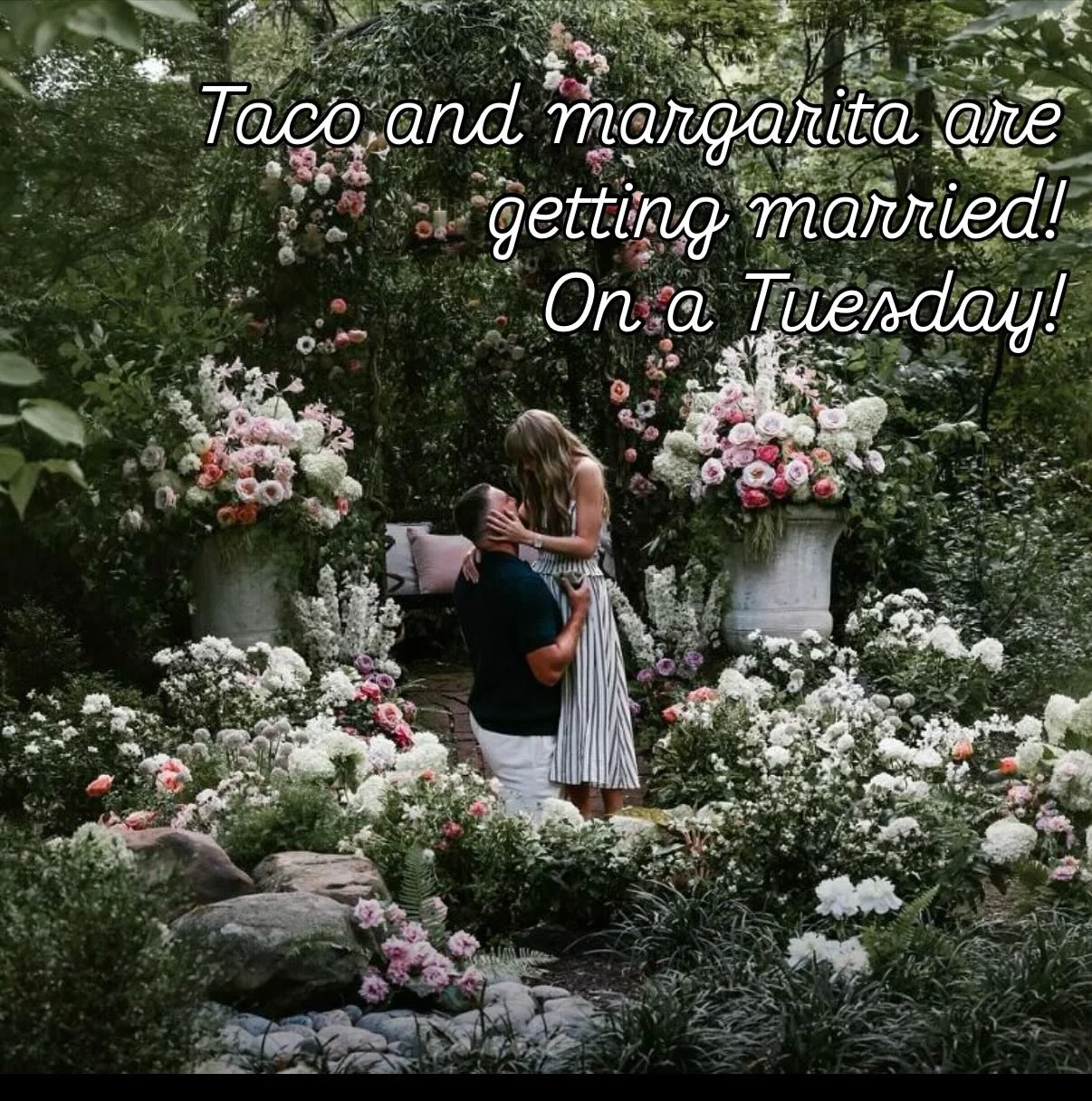 How's this for a distraction from the colorful lizard wisecrack on that last reel? 😂😂😂

Seriously though...the best way to toast this match made in heaven is with the original match made in heaven...TACO AND MARGARITA!

Let's party on Taco Tuesday