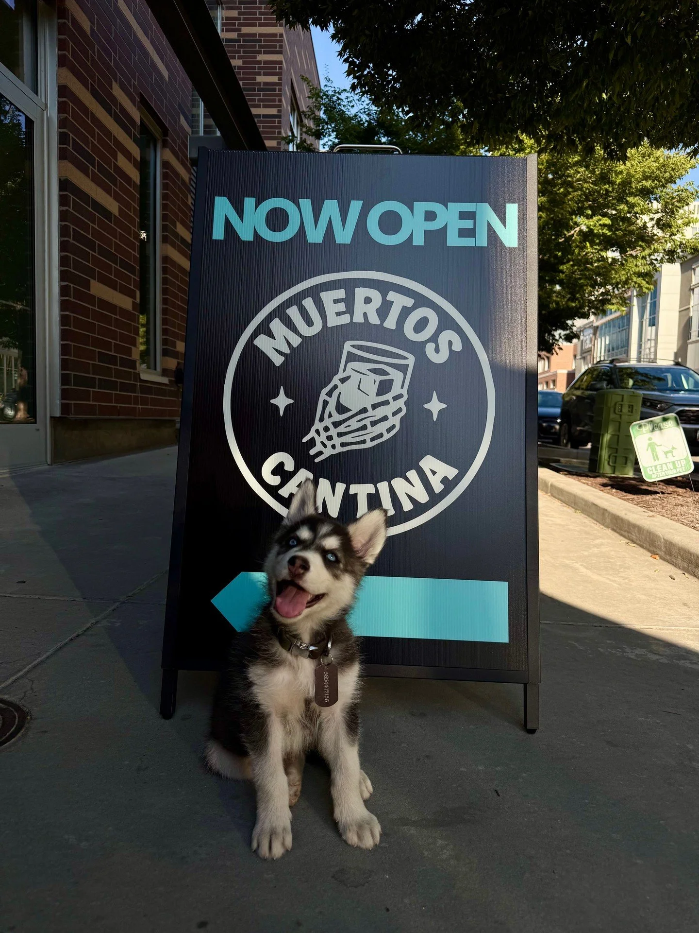 Settle this once and for all: dogs or cats? 👀We already know the right answer (hint: they're cute and fluffy). But we wanna hear YOU fight it out in the comments. Drop your pick and tag someone who's dead wrong. Muertos Cantina, Sugar House &mdash; 