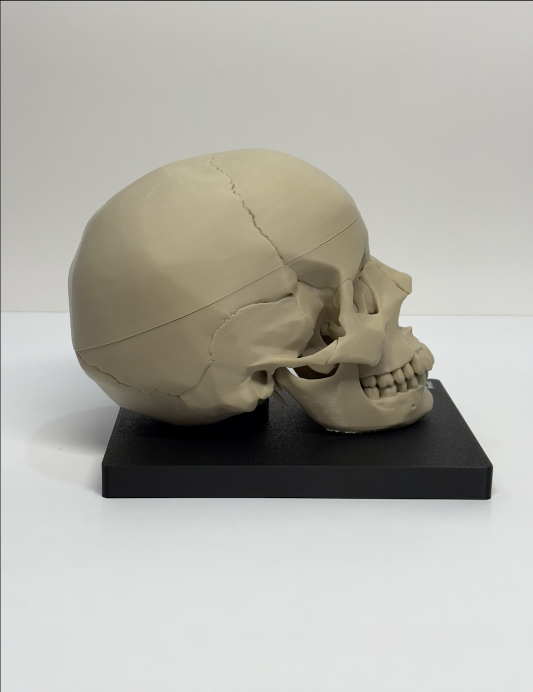 Screenshot 2025-12-16 at 6.52.22 PM.png