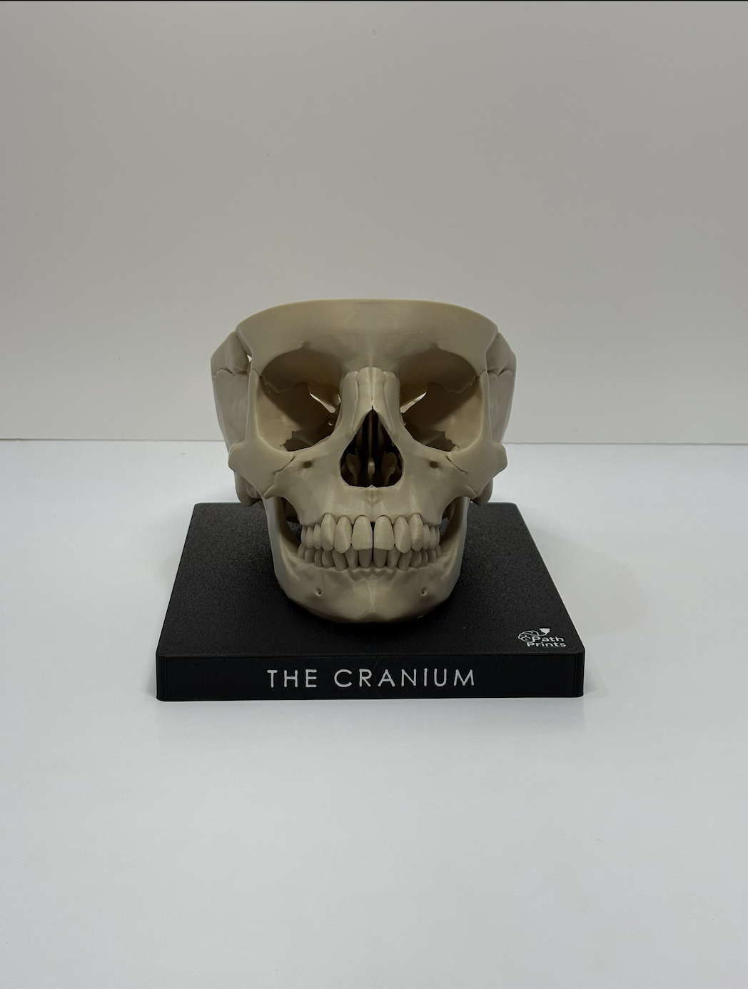 Screenshot 2025-12-16 at 6.52.43 PM.png