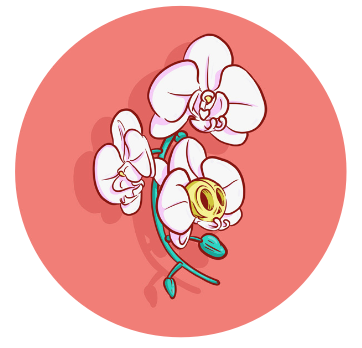 Epic Uno "Epic Orchid"