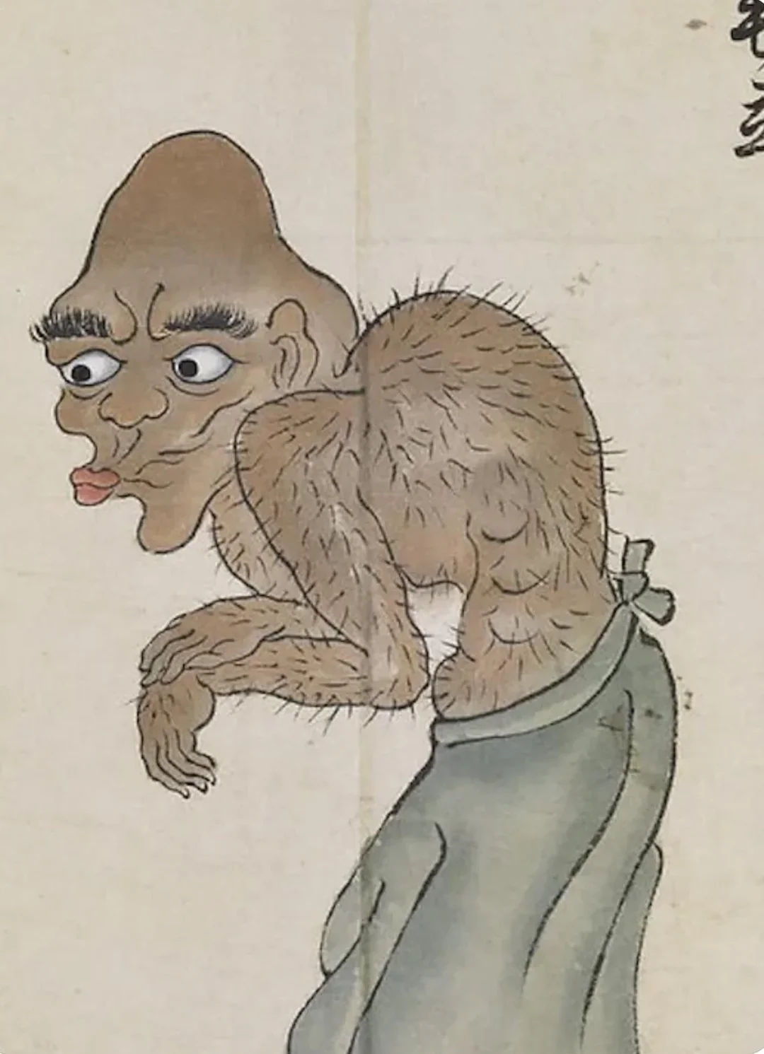 minokedachi