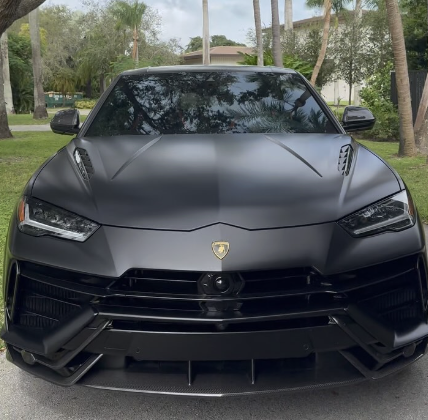 Front view of a matte black Lamborghini Huracán parked outdoors among palm trees.