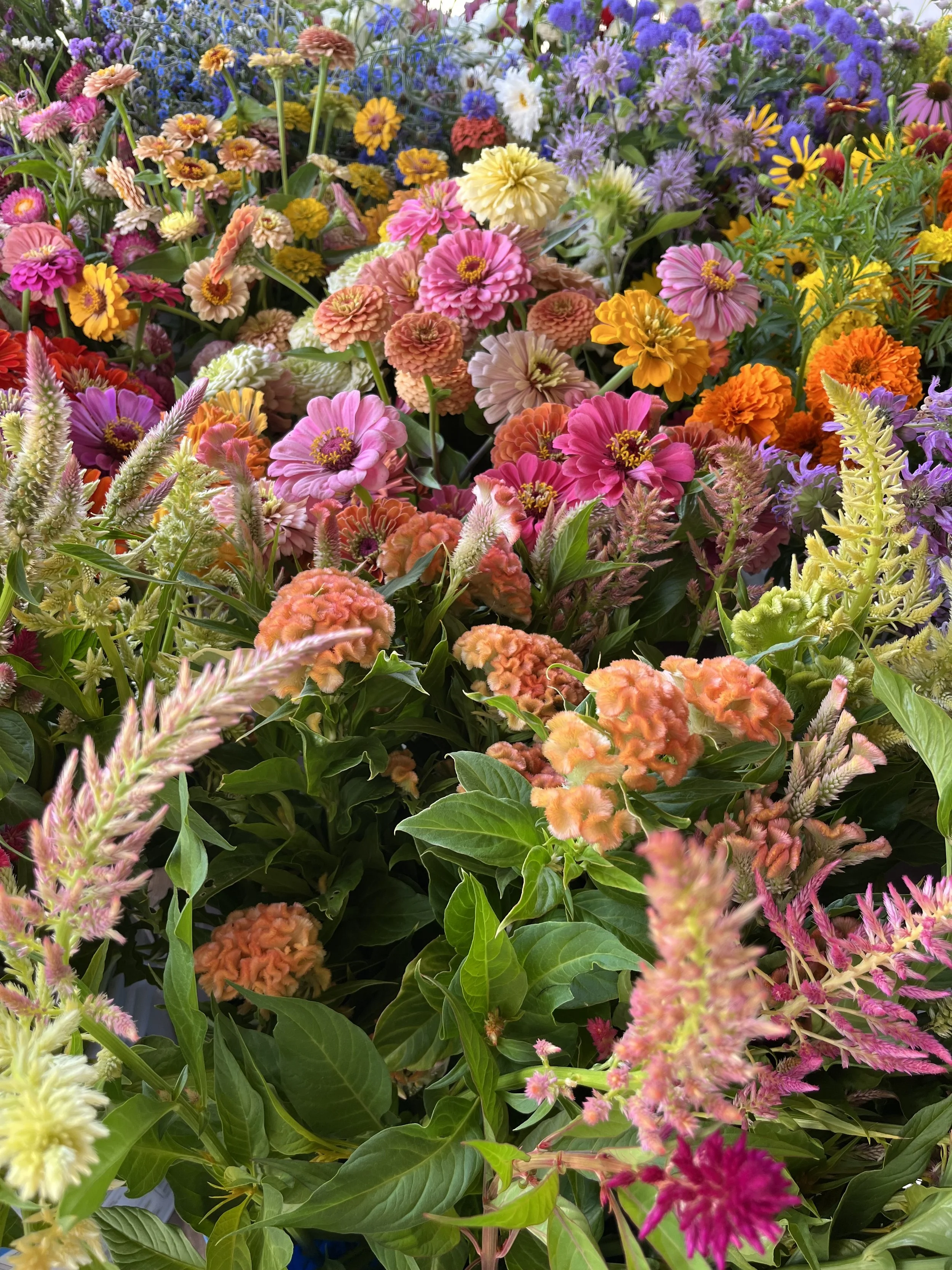 DIY Bucket of Blooms
