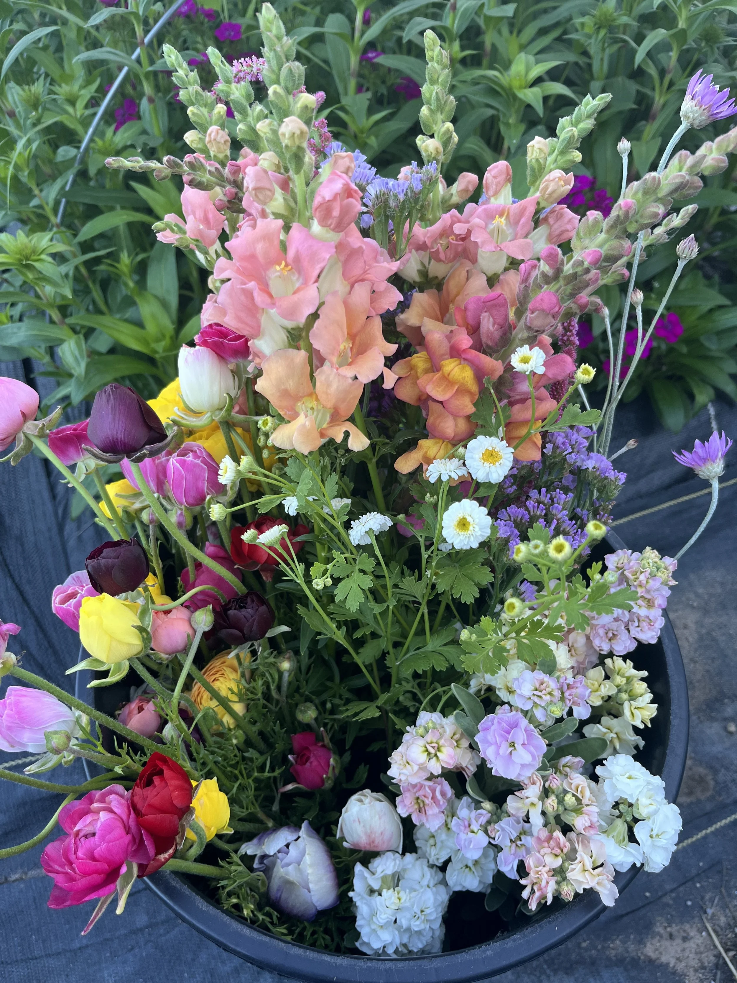 DIY Bucket of Blooms
