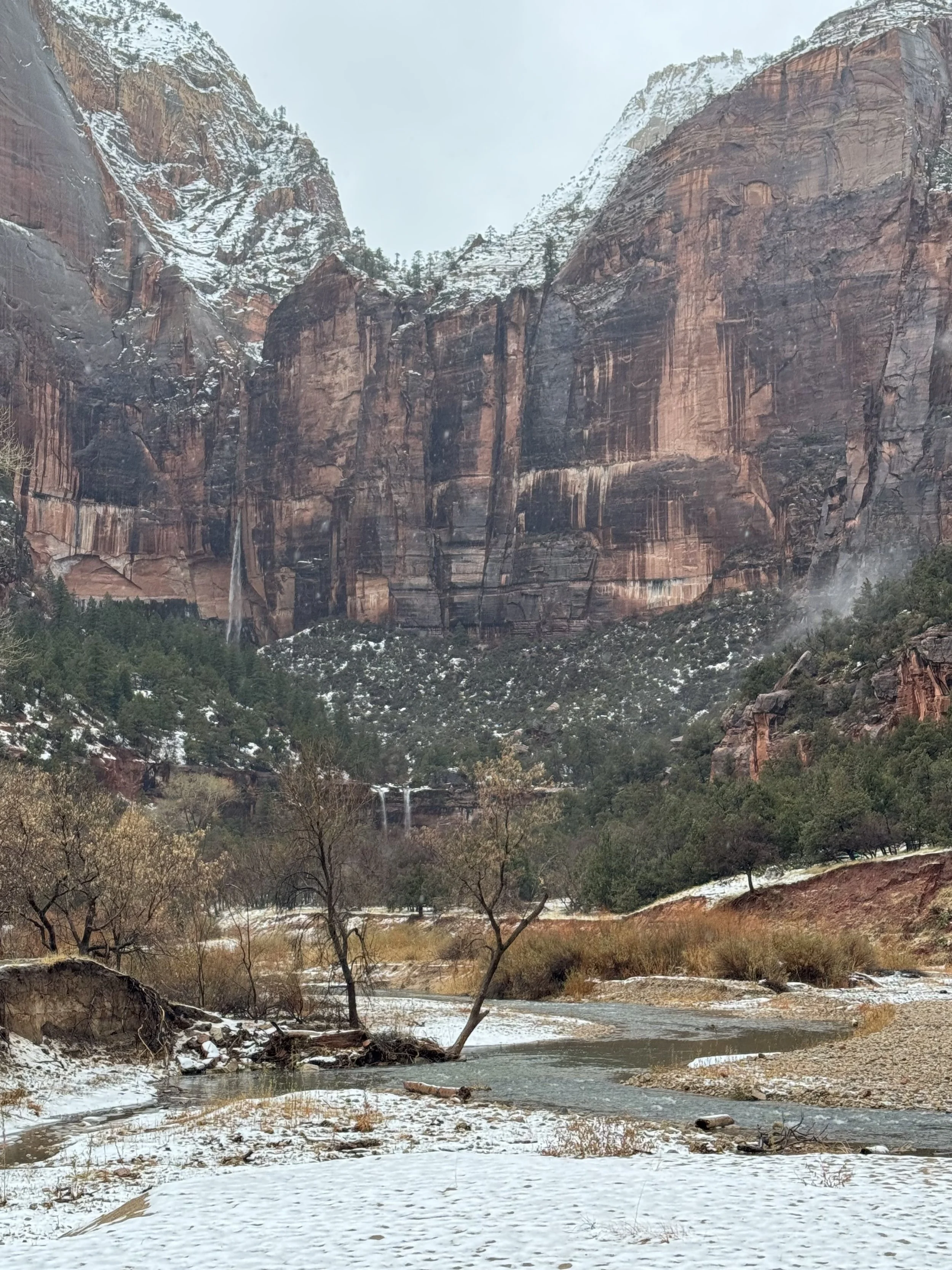 Snowy scene that invokes moments of rest and peace.