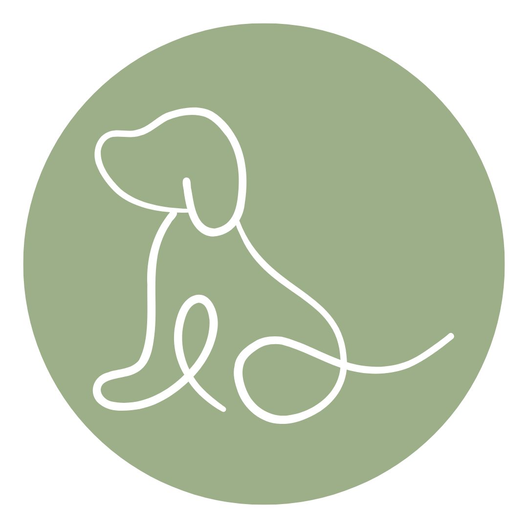 Untitled design - 2025-09-13T221101.027.png