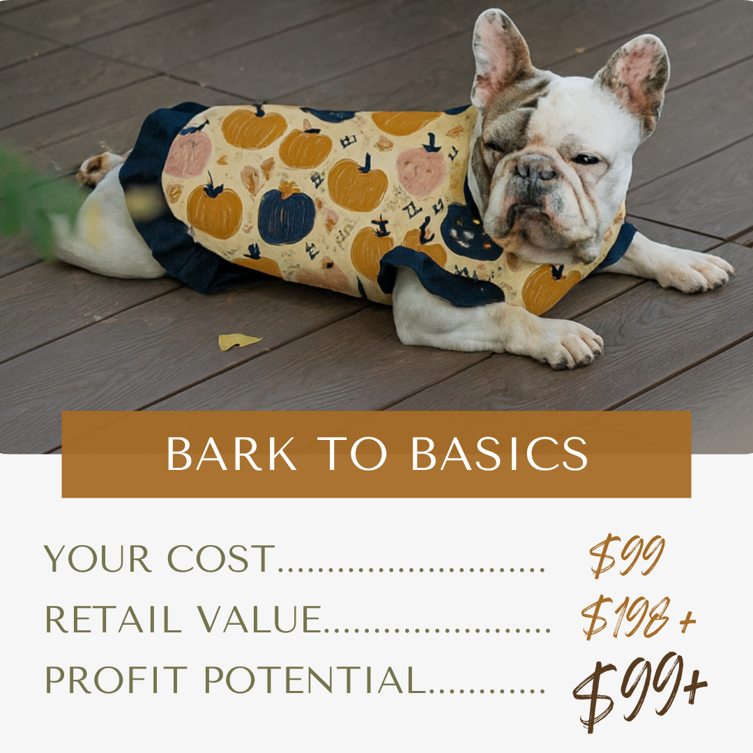 PURRFECT START (4).png