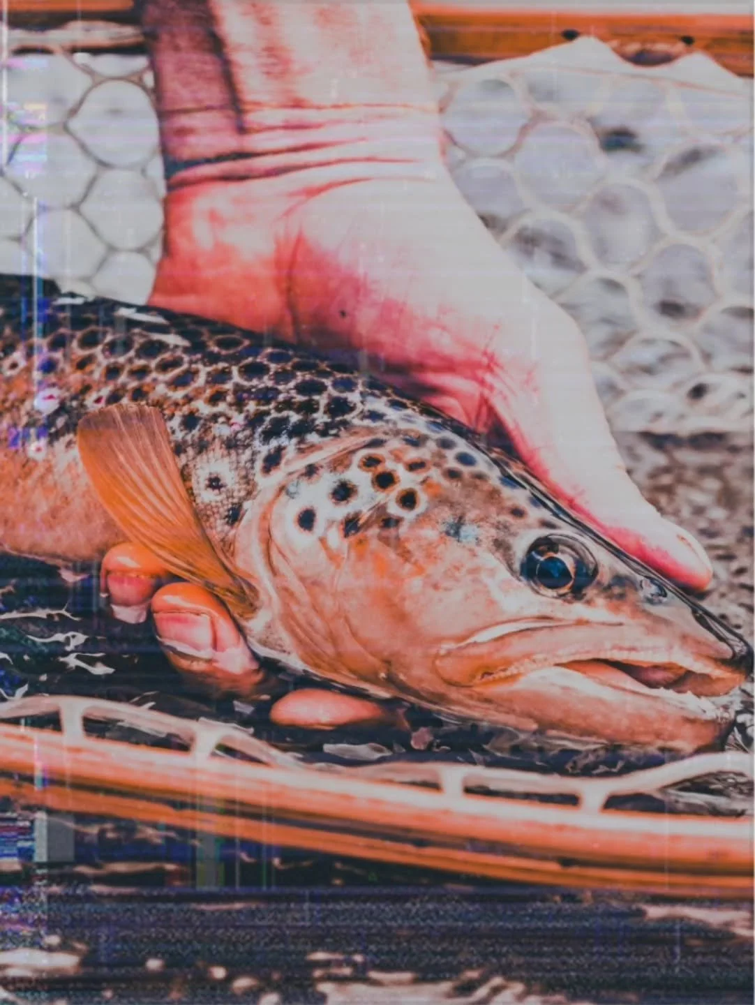 If it&rsquo;s free, you&rsquo;re the product being marketing and sold. That&rsquo;s why we&rsquo;re breaking the mold with a small fee subscription fee membership forum for Midwest trout anglers to contribute to the quality of their community. Our up