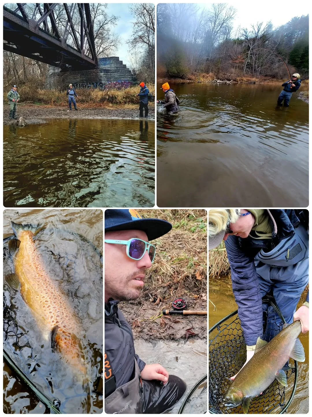 A gaggle of Cutbank Kids hit the fresh coast this week. We cleaned up on cohos, found a few browns, threw a pizza party, and even got to see some shakas in their natural habitat. Join the fun Dec 1!
