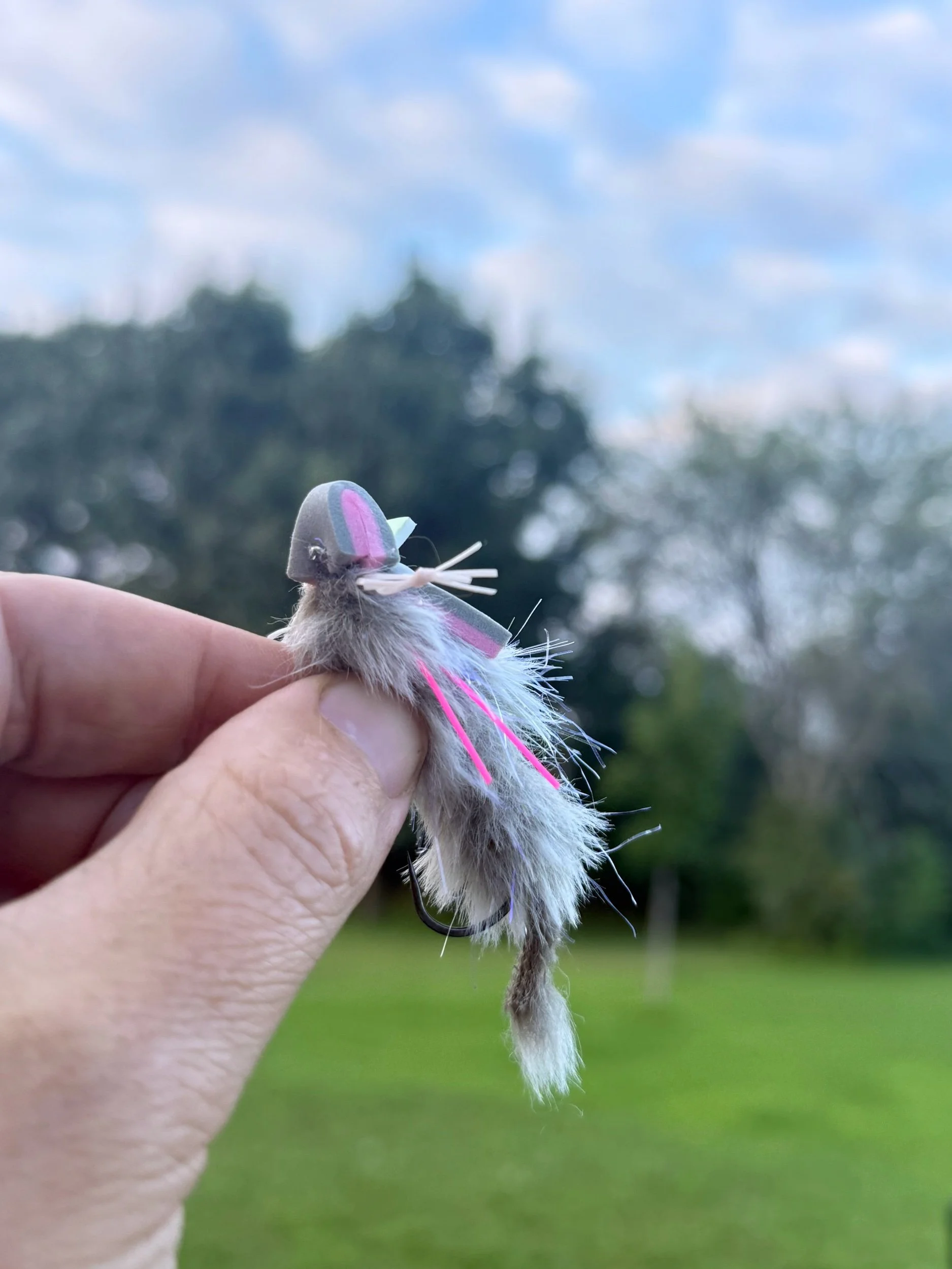 The Frisky Critter - 3 Pack