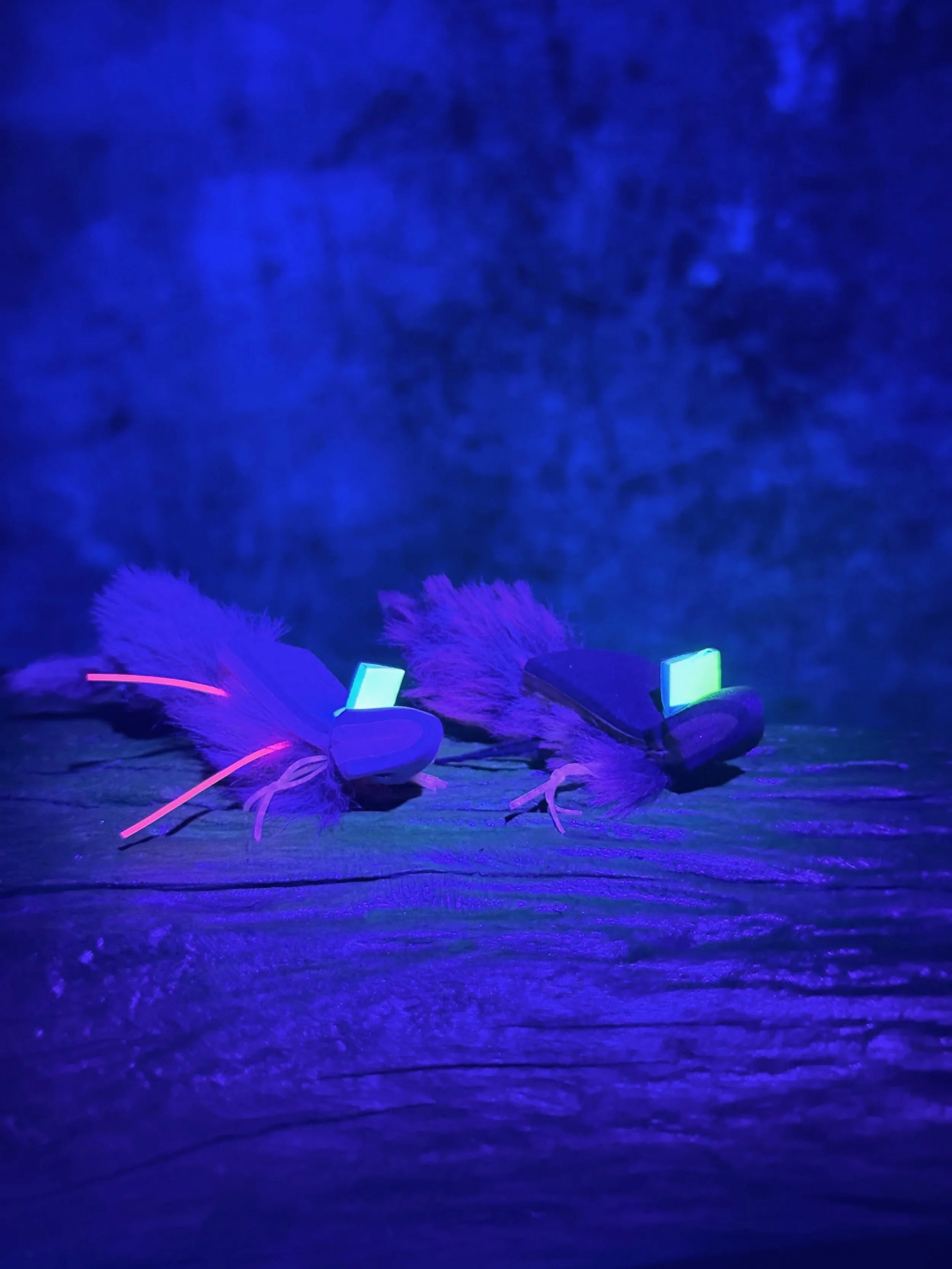 uvmouse.jpg