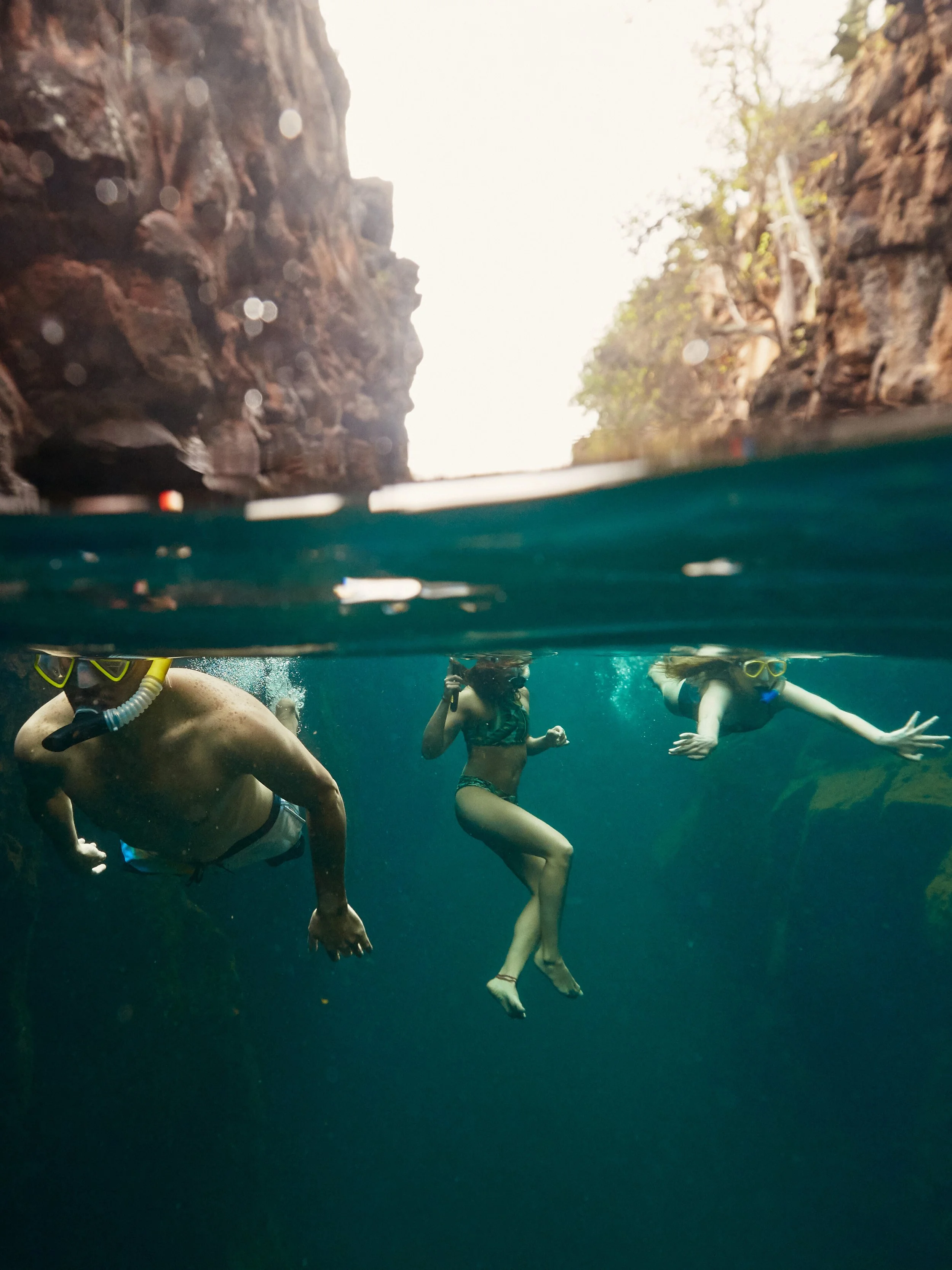 V_galapagos_underwater_TARA_RICE_0059_RET.jpg