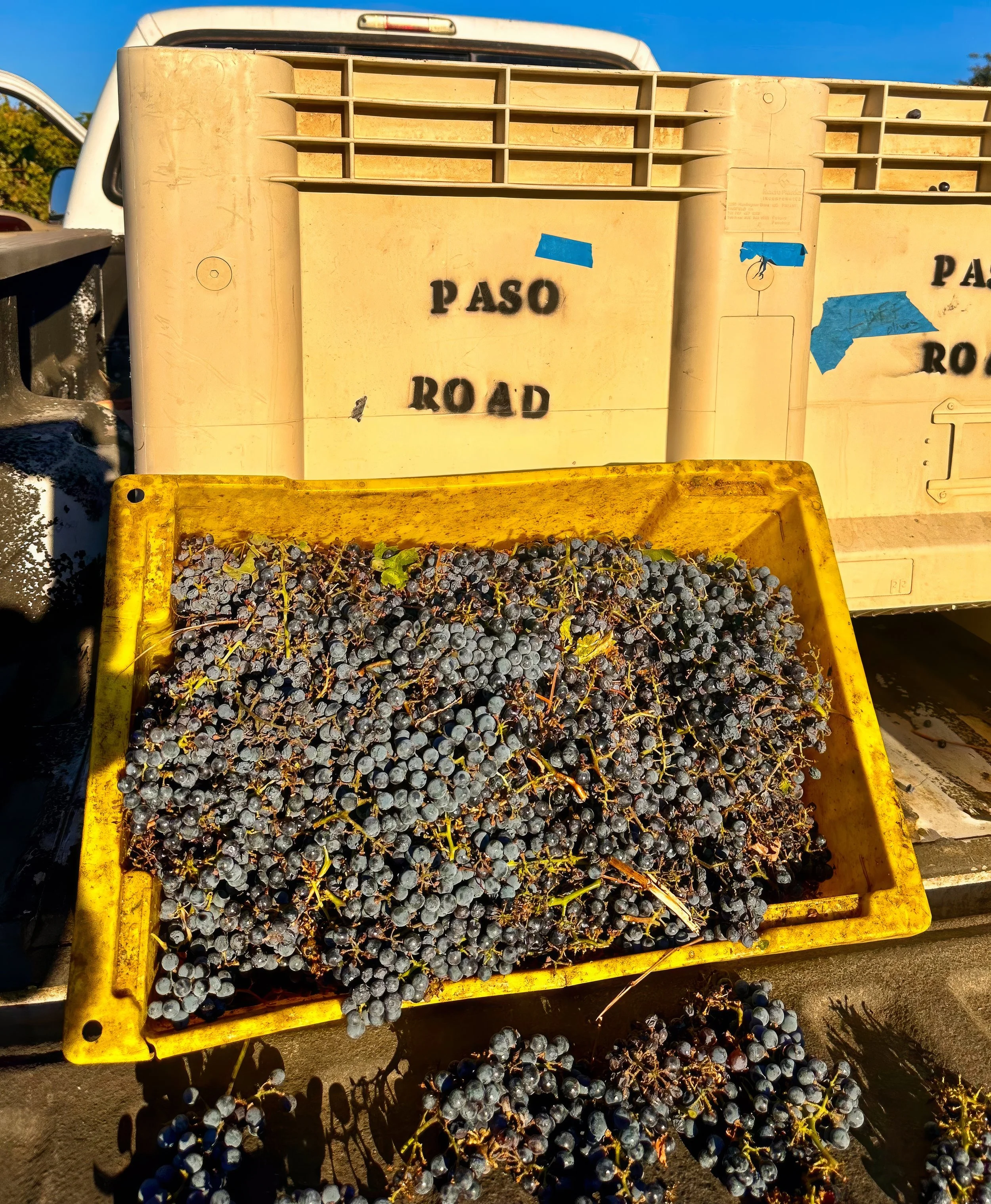 Paso Road WineIMG_0564 - MASTER.jpg