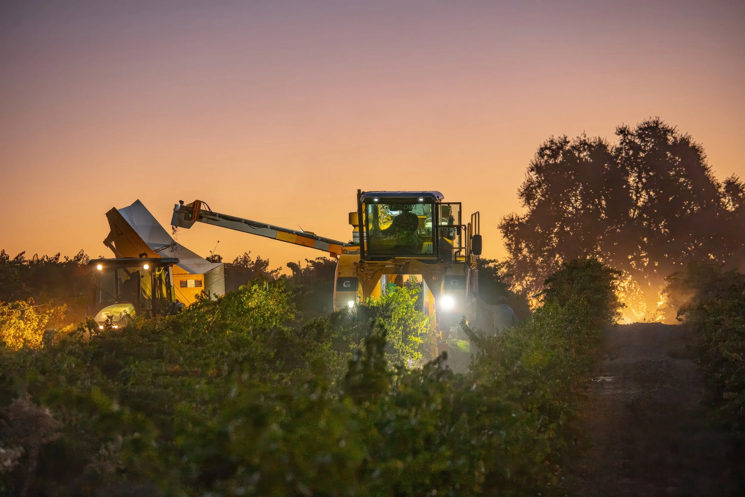 Paso Road Wine2W3A9510 - MASTER.jpg