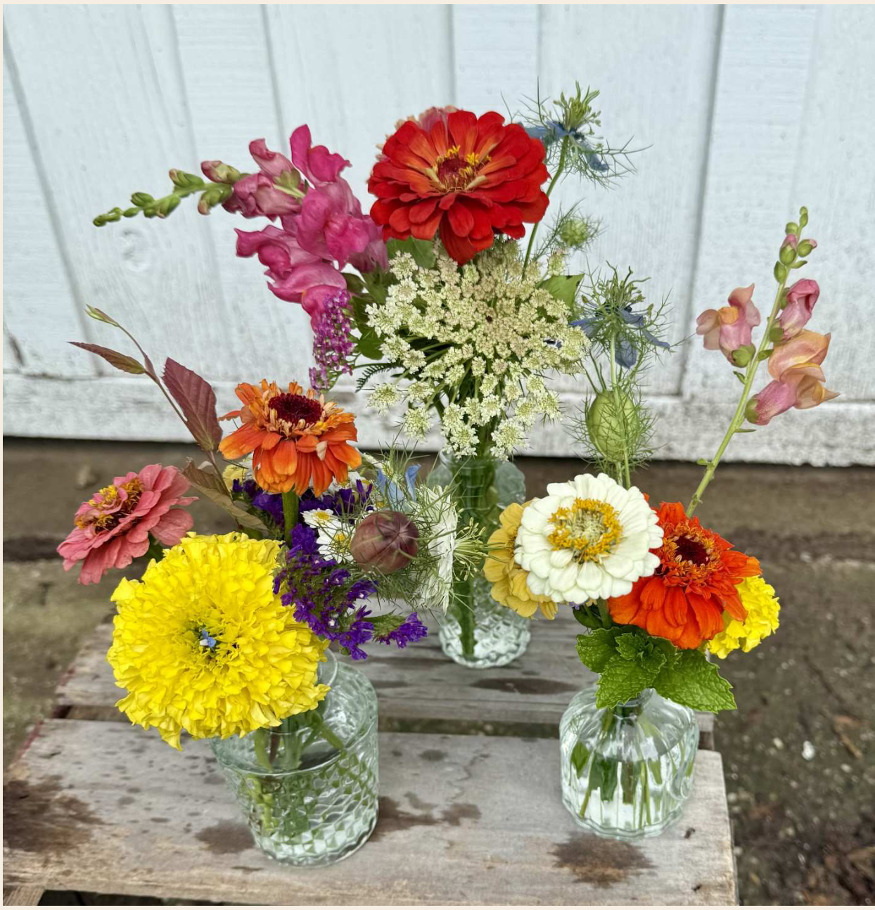 Bud Vases