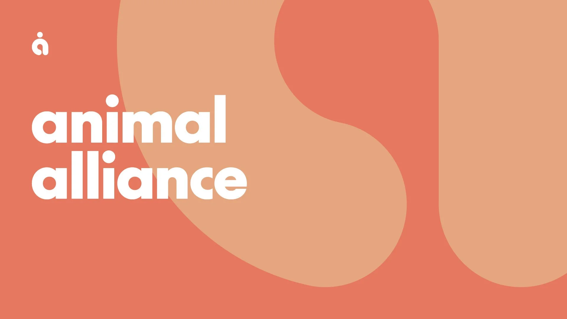 Untitled-1.jpg