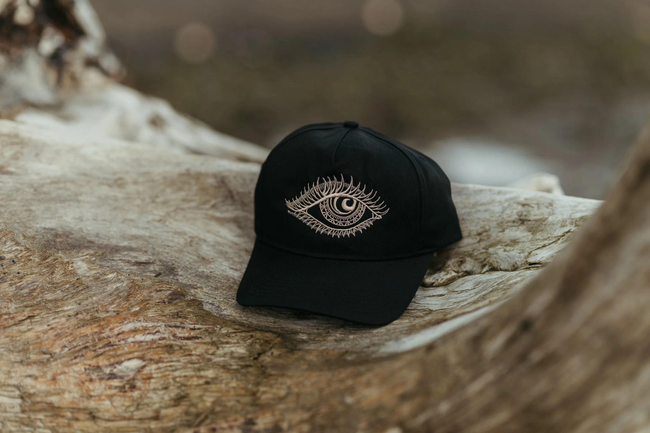 ElementalEye_Snapback_Black_Back.jpg