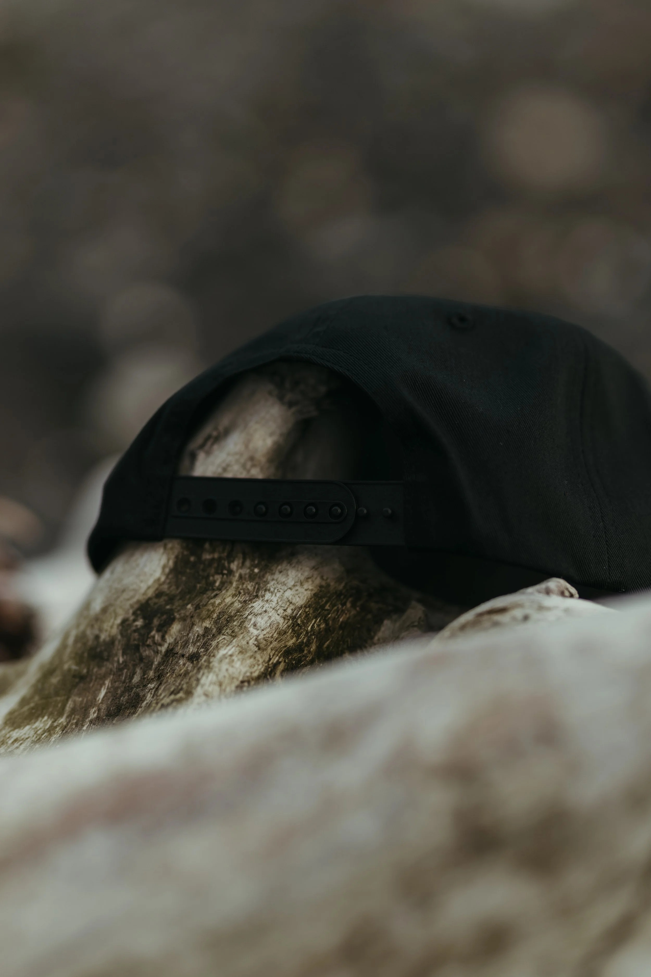 ElementalEye_Snapback_Black_Back (1).jpg