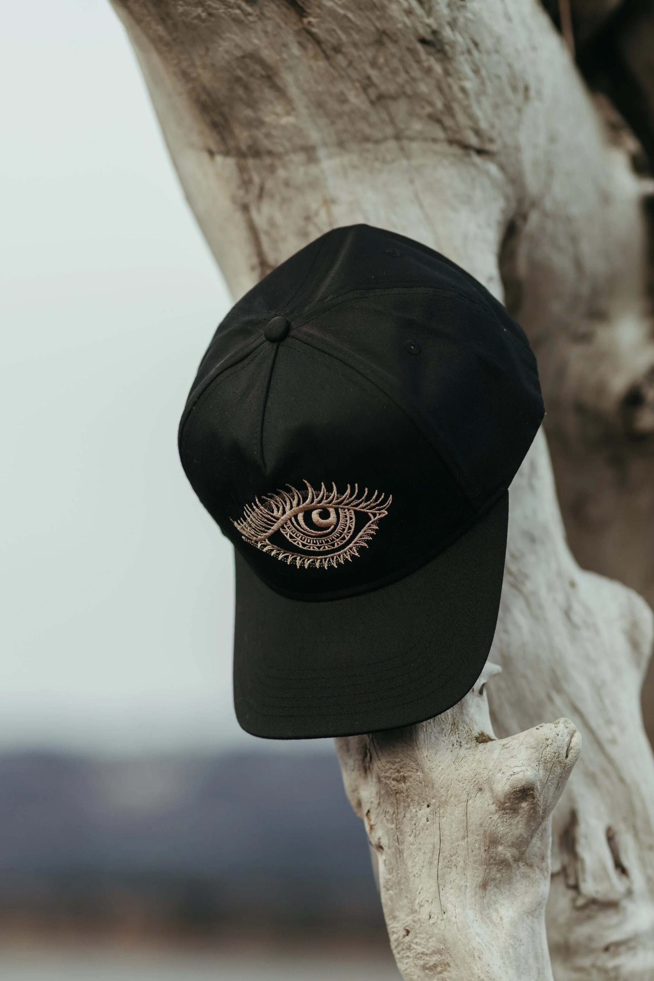 ElementalEye_Snapback_Black_Lifestyle4.jpg