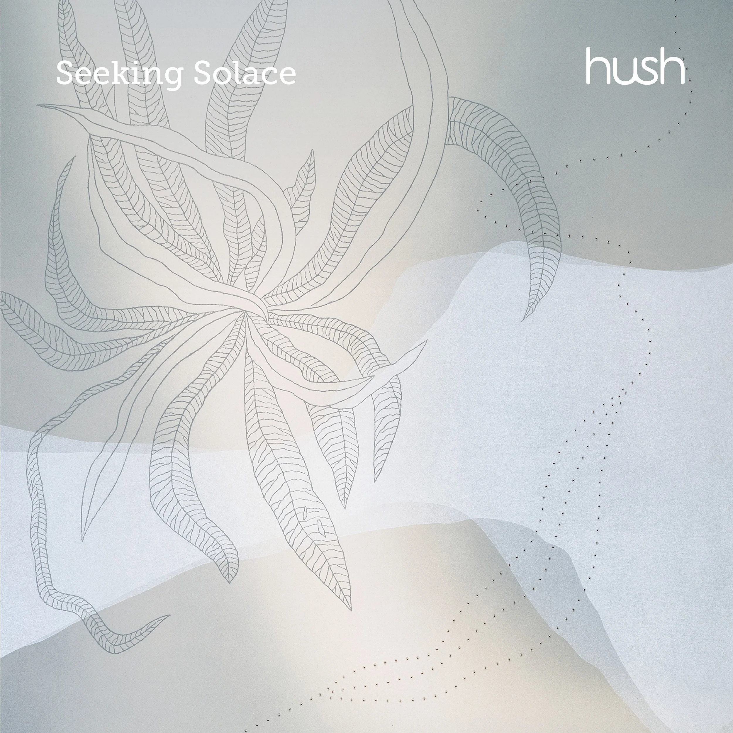 Low res Hush Seeking Solace - album coverhigh res copy.jpeg