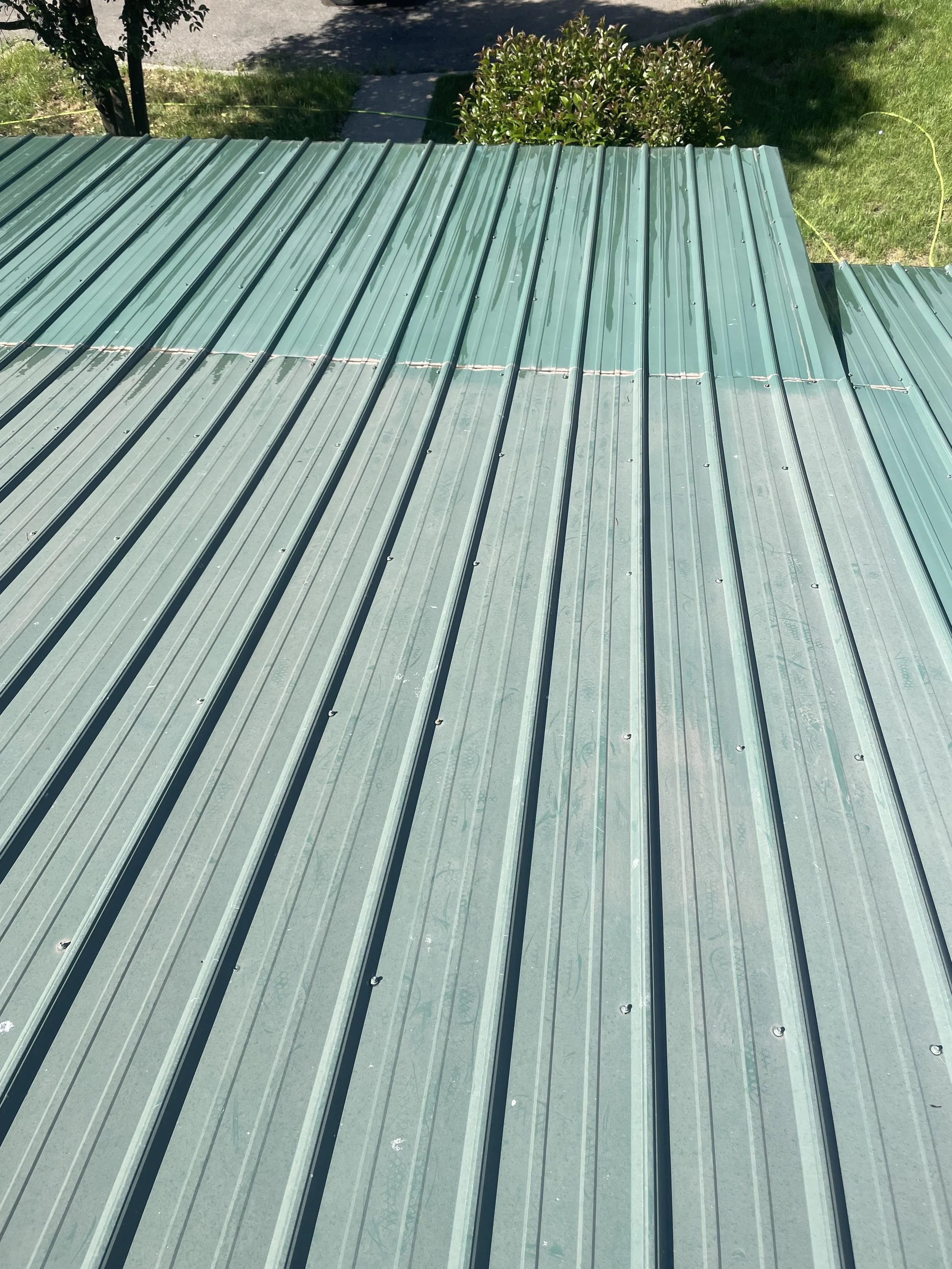 Close-up view of a green metal roof with vertical ridges, some water droplets, and a distant background with trees, bushes, and a sidewalk.