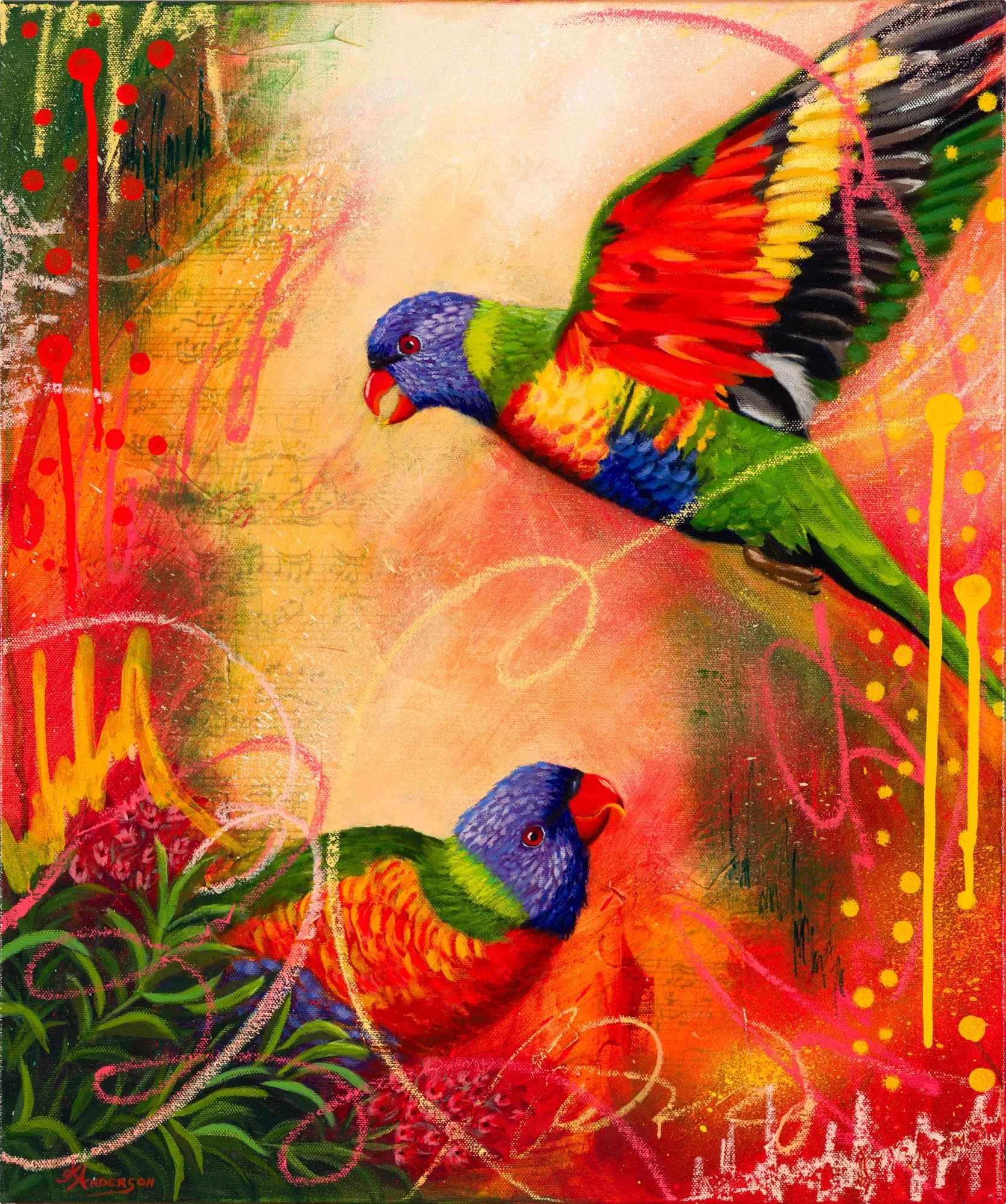 Lorikeet Rhapsody