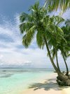 VIATOR - VISIT PUNTA CANA, DR