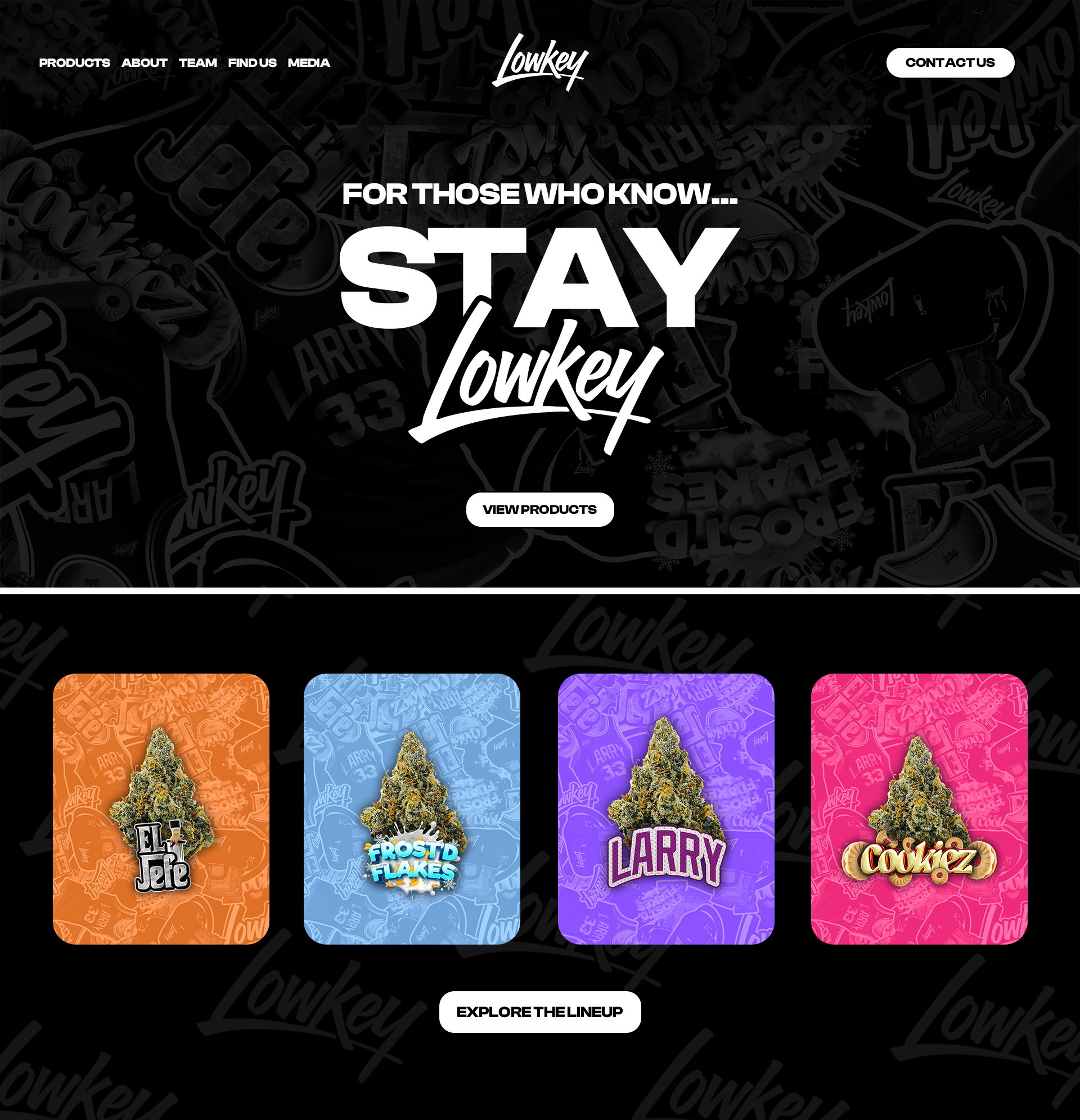 Lowkey-HomePage-Mockup.png
