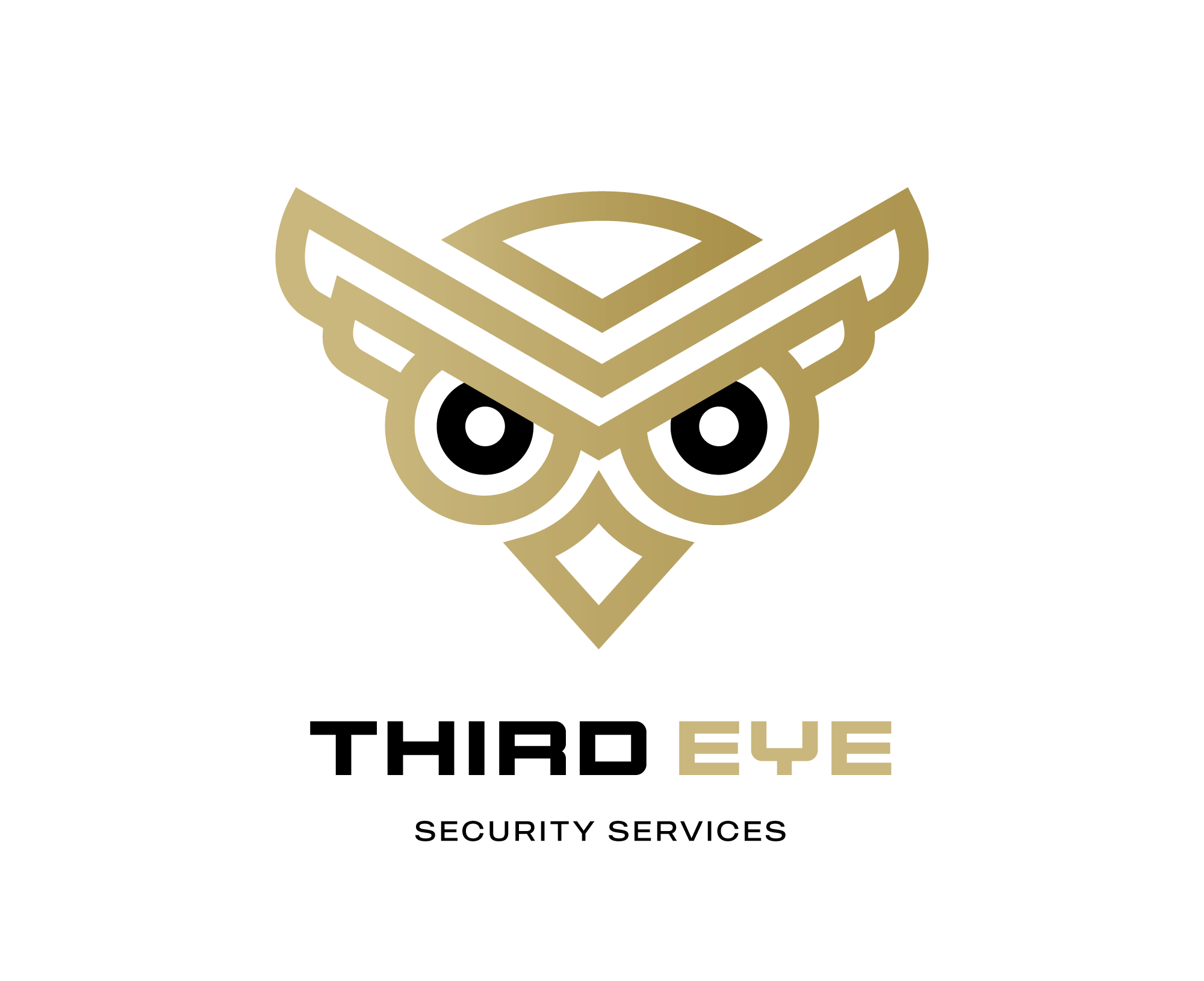 ThirdEyeSecurityLogo-FullTransparent.png