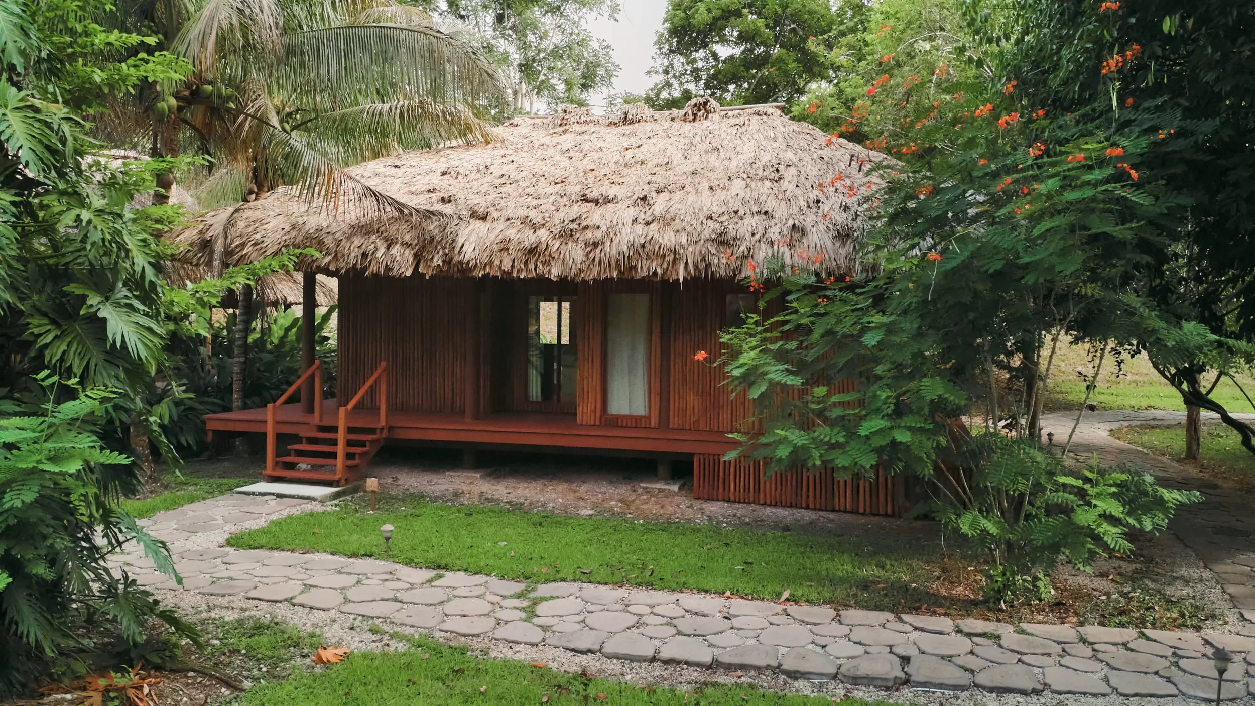 DJI_0209-scaled.webp (Copy)