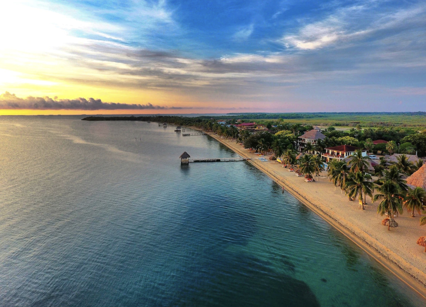 Screenshot 2025-10-10 at 11.46.45 AM.png