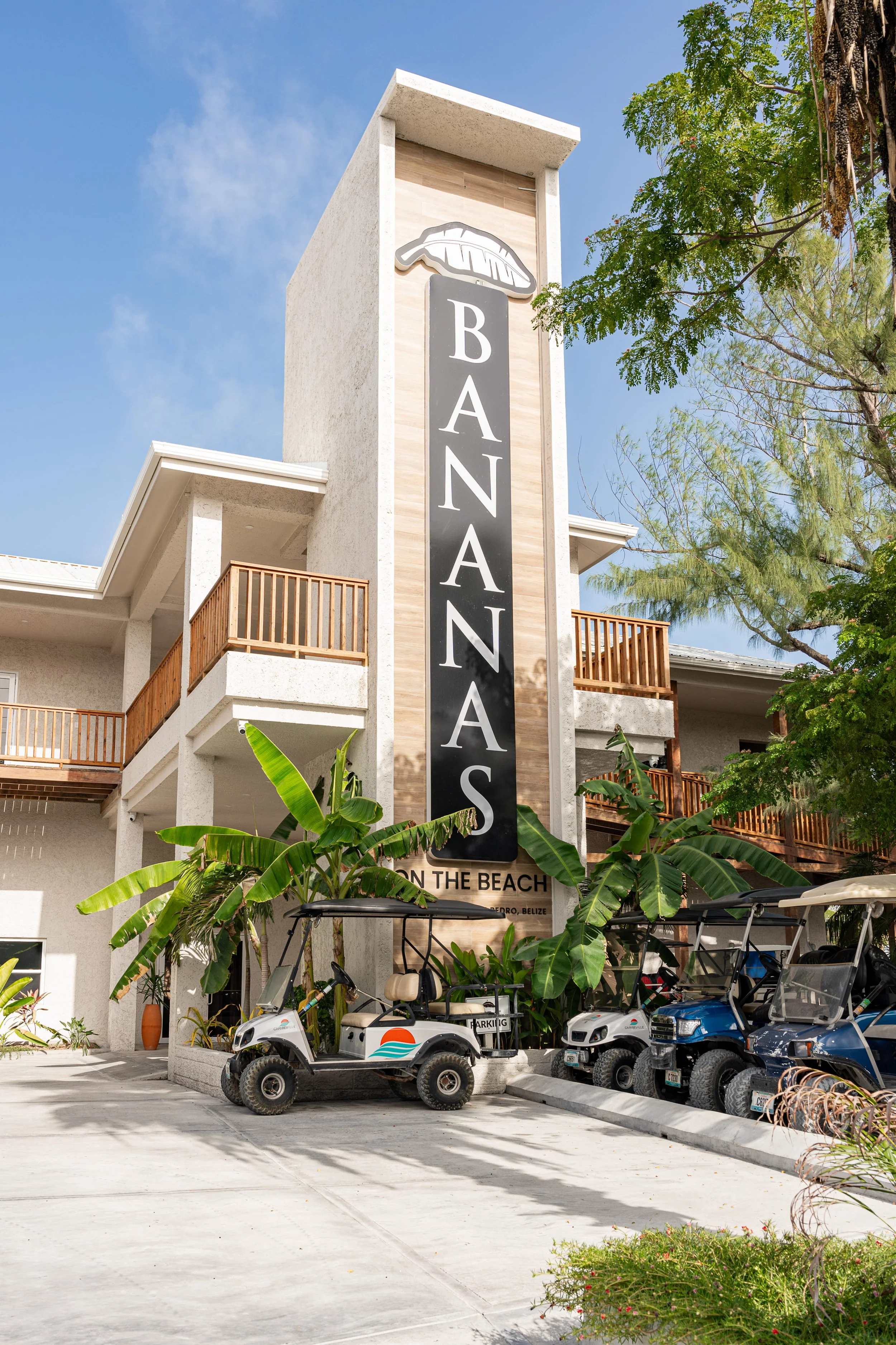 MYP05177 (1) - Vivian Feinstein.jpg
