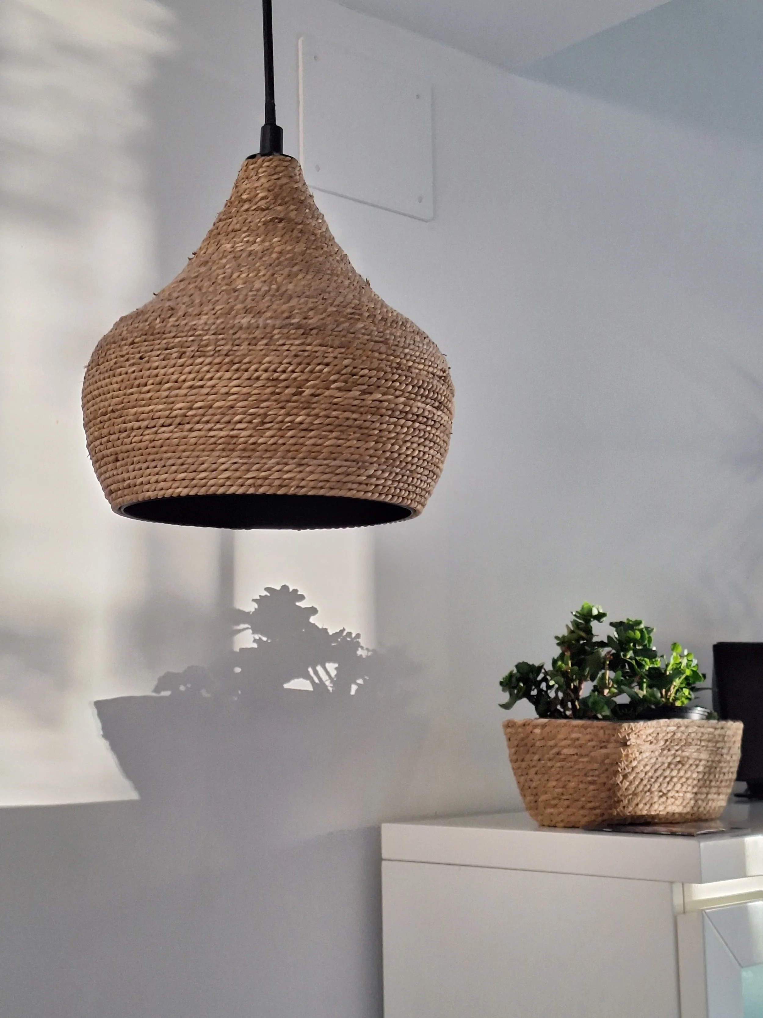 WhatsApp Image 2025-09-16 at 10.43.34.jpeg