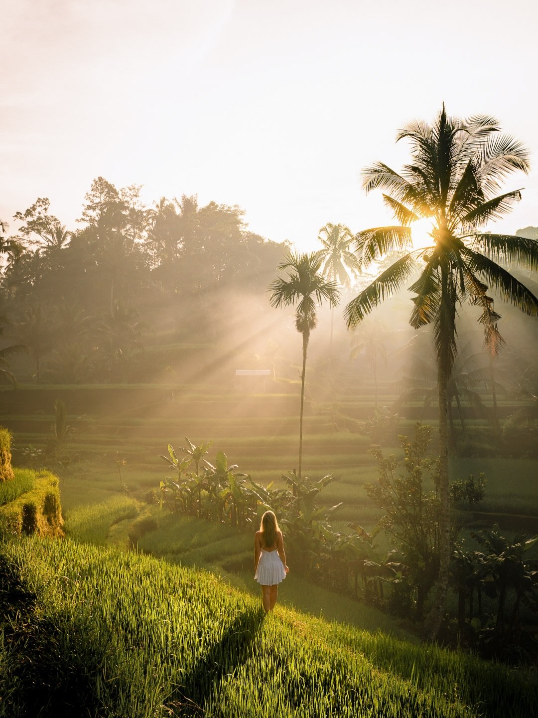 Sunrise vibes from Bali.
.
👧 @agirlwhoblooms 
.
#bali #travel #cntraveller #wonderfulindonesia #travelphotography