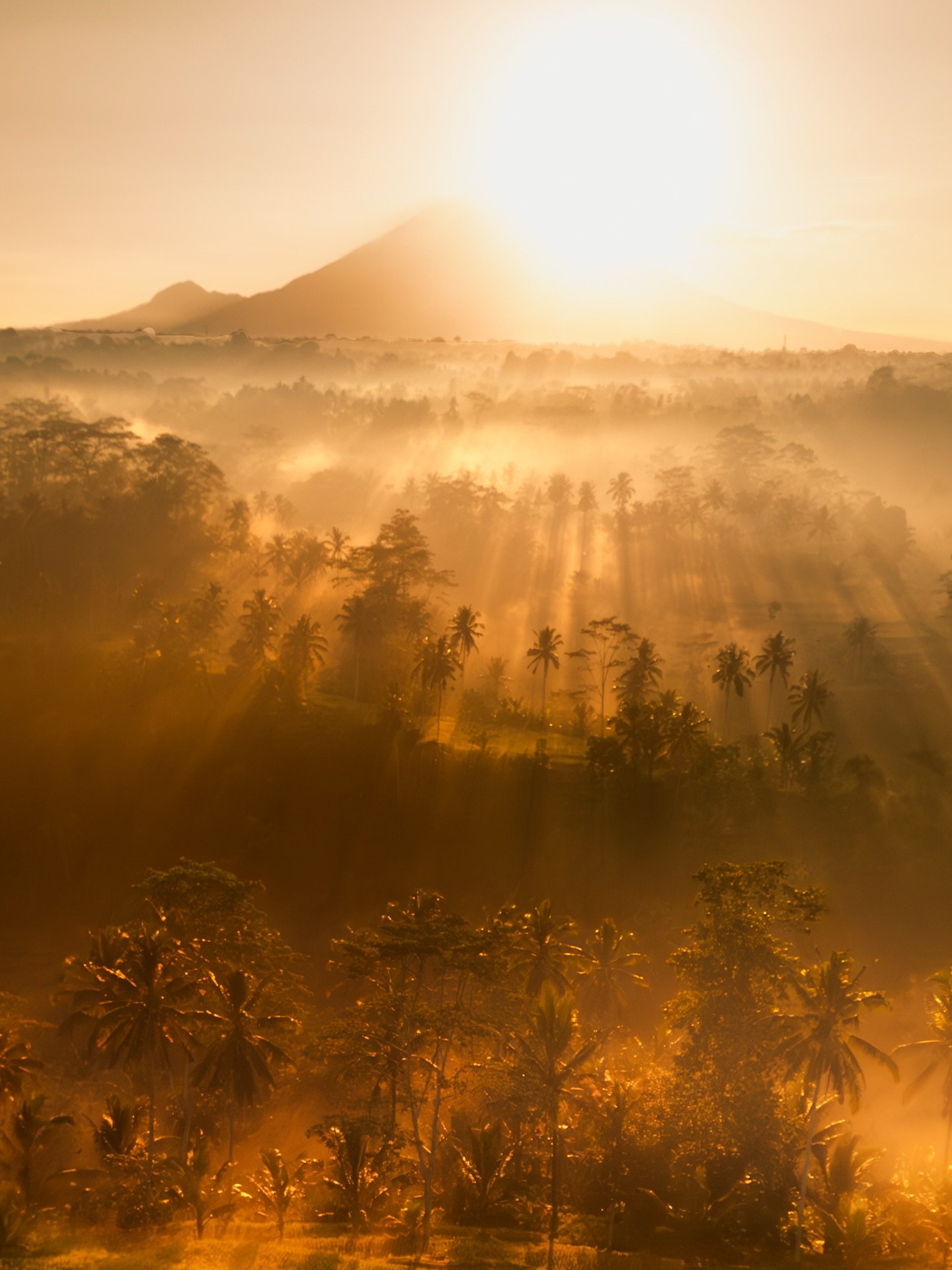Bali mornings have a tendency to light up your soul.
.
📍 Bali, Indonesia
.
#bali #wonderfulindonesia #sunrise #beautifuldestinations #cntraveller