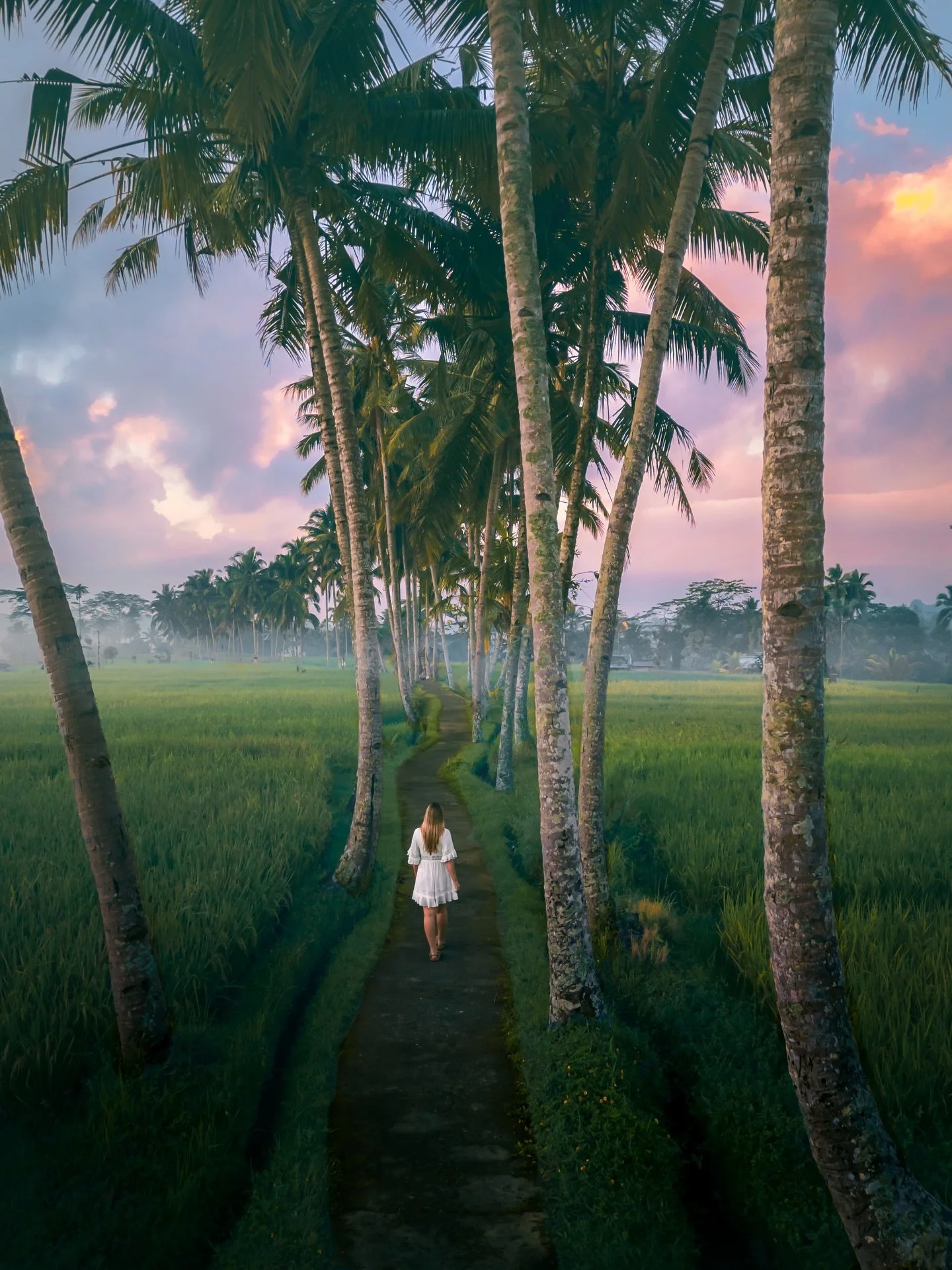 Taking in the serenity of nature on a morning walk beneath the palm trees and surrounded by rice fields.
.
That&rsquo;s one of the things I miss most about living in Bali. The ease of being able to go for a walk. There are places you can go to in Bal