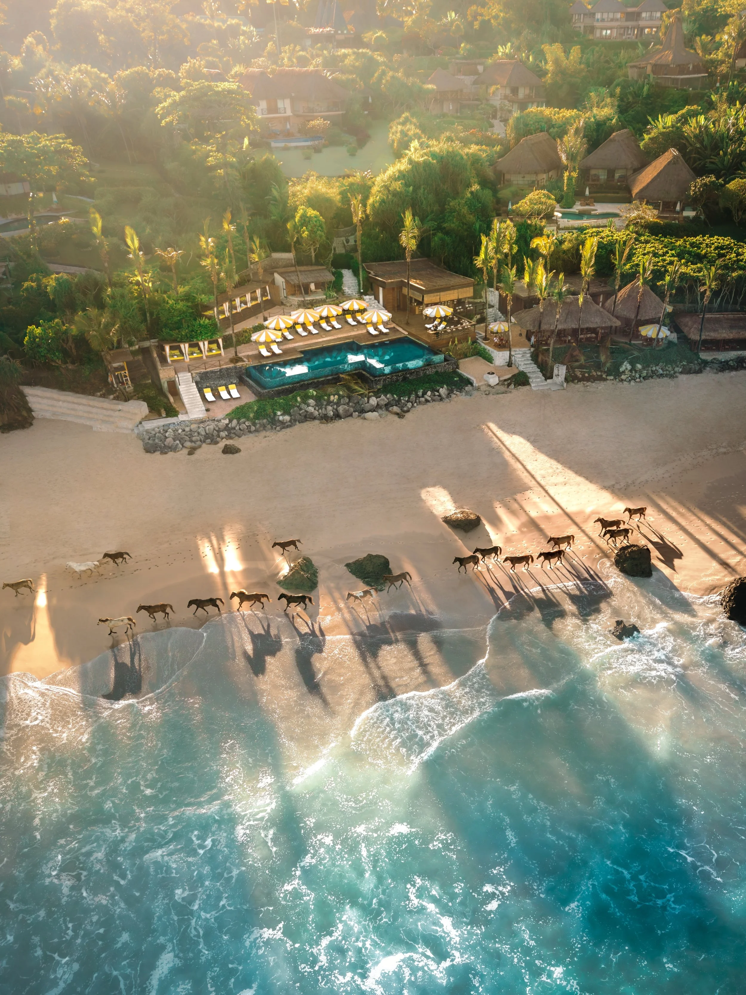 A moment of morning magic at @nihi when the early light casts shadows and the horses run the shoreline.
.
📍 @nihi Sumba, Indonesia
.
#cntraveller #forbestravelguide #tlpicks #travel #wonderfulindonesia