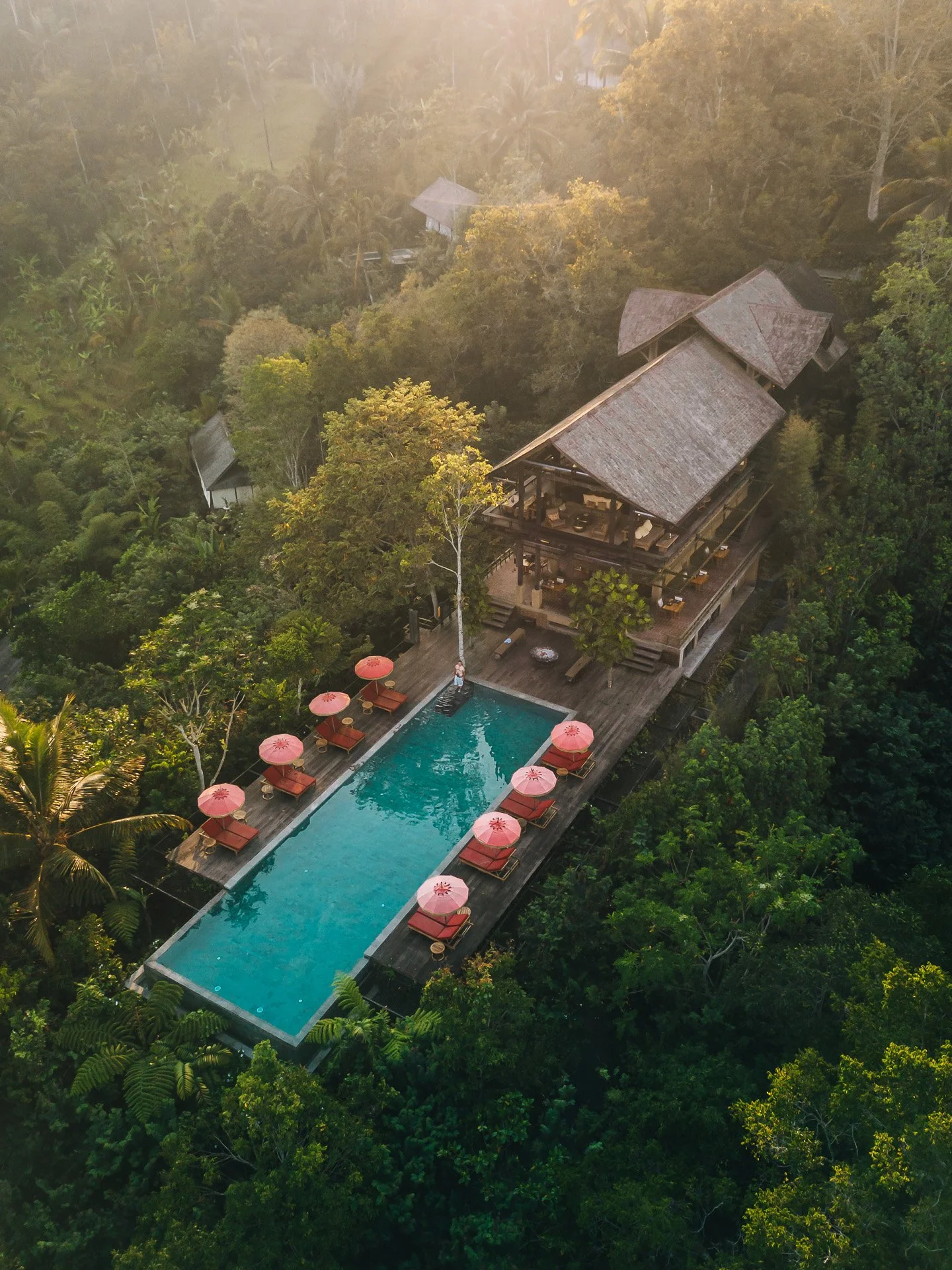 Bali - Banyan Tree Joe Kelly @alifeiimagined-DJI_0121.jpg