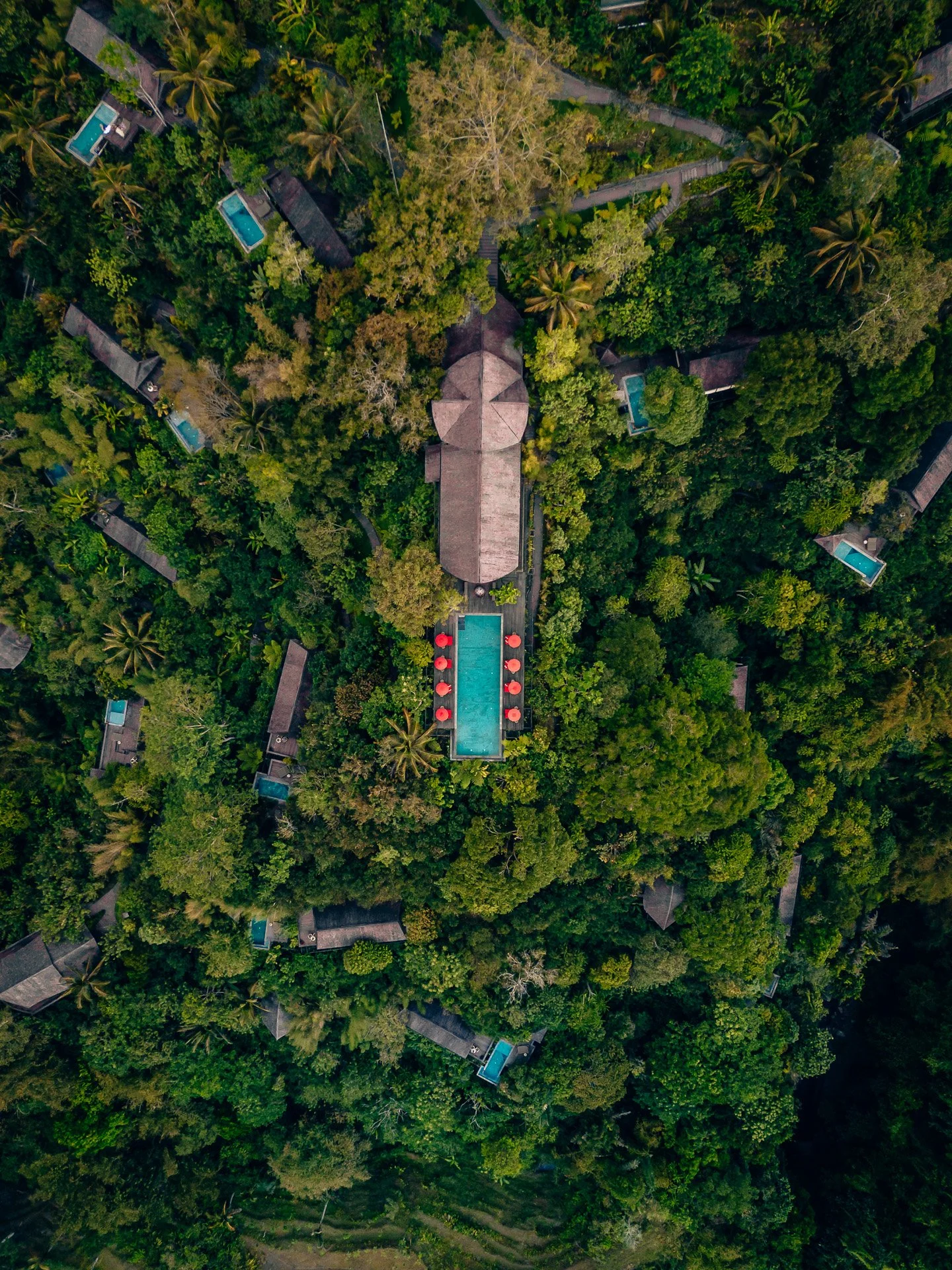 Bali - Banyan Tree Joe Kelly @alifeiimagined-DJI_0982.jpg
